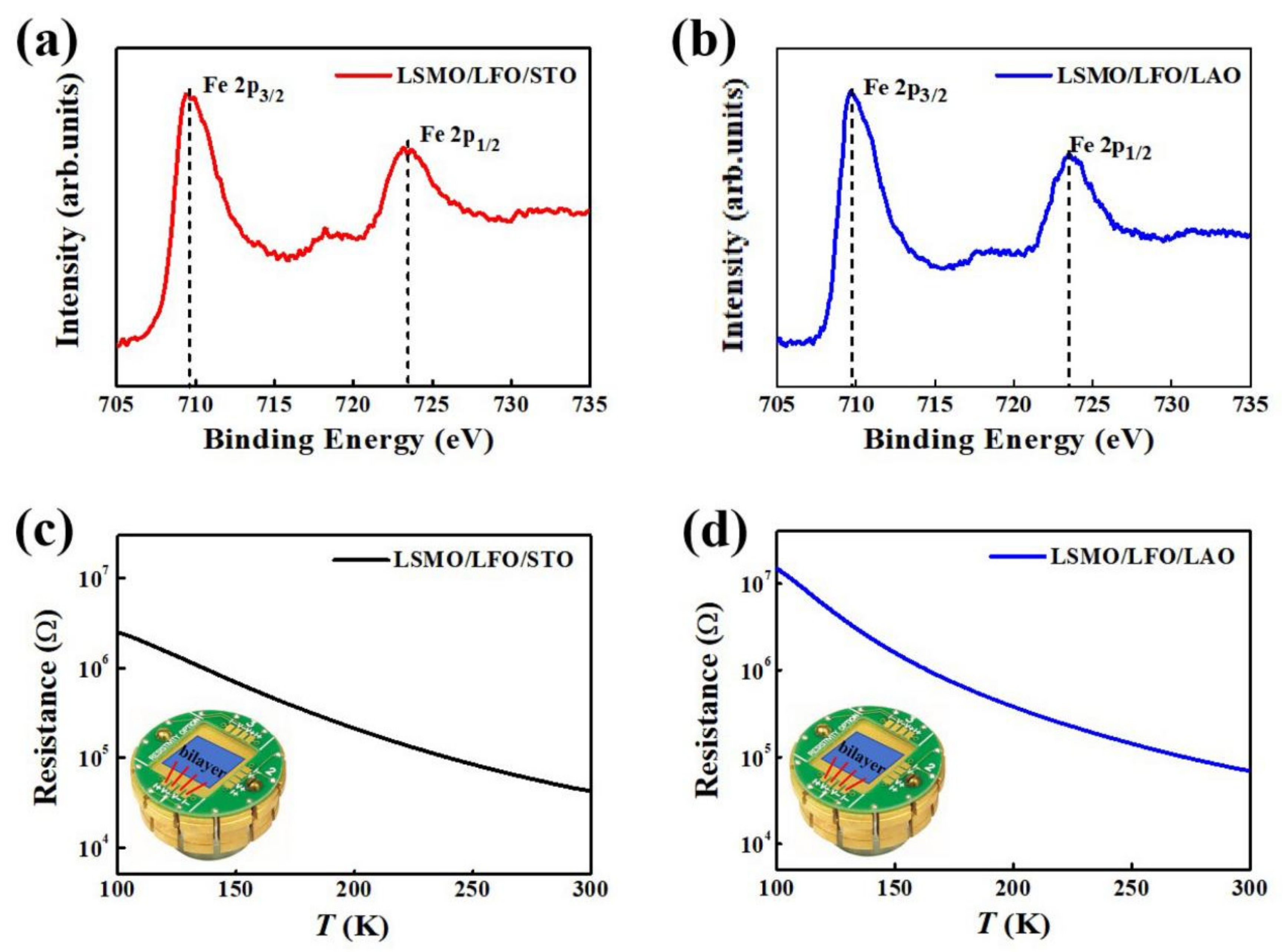 Molecules 29 03244 g002