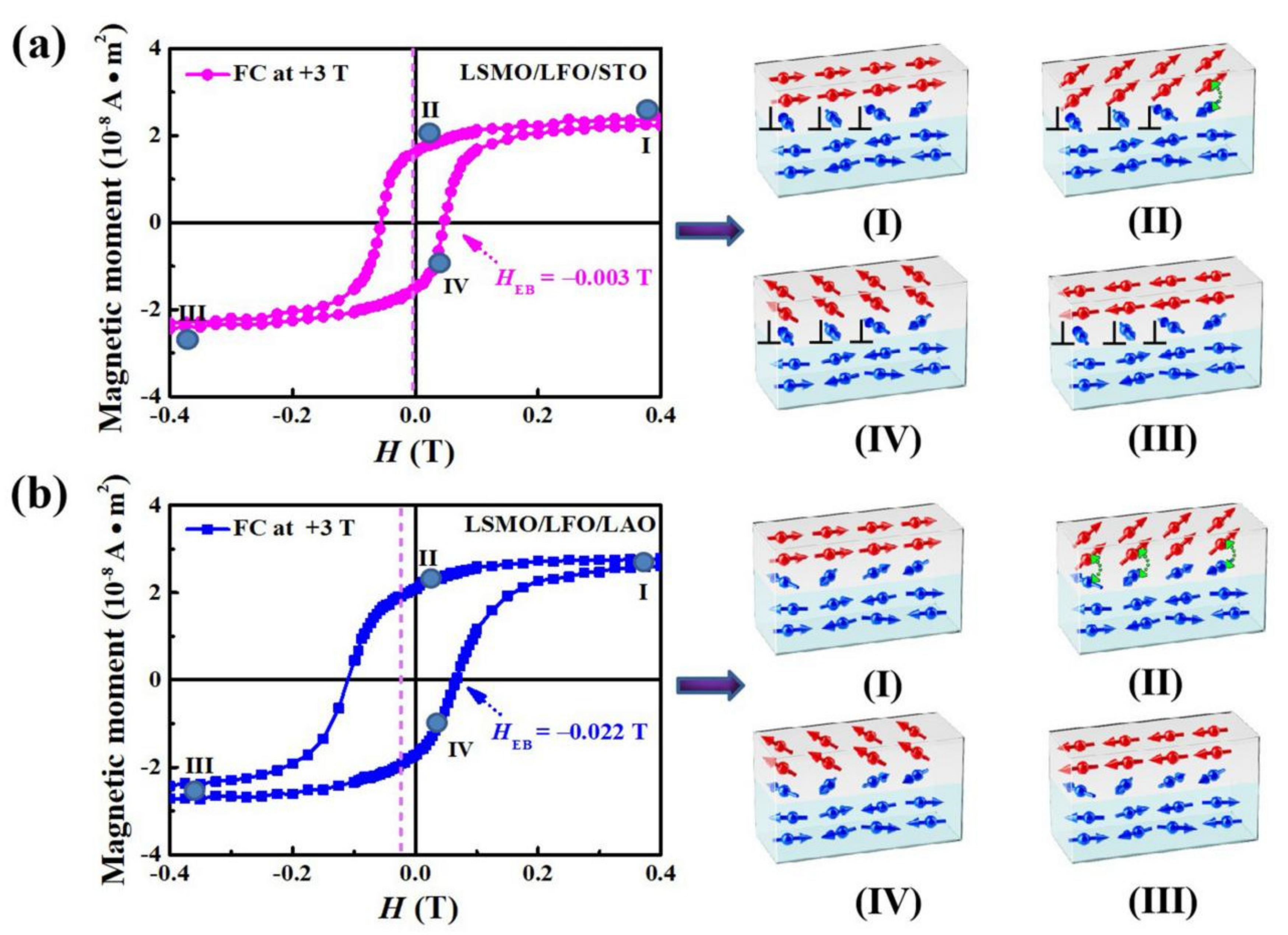 Molecules 29 03244 g006