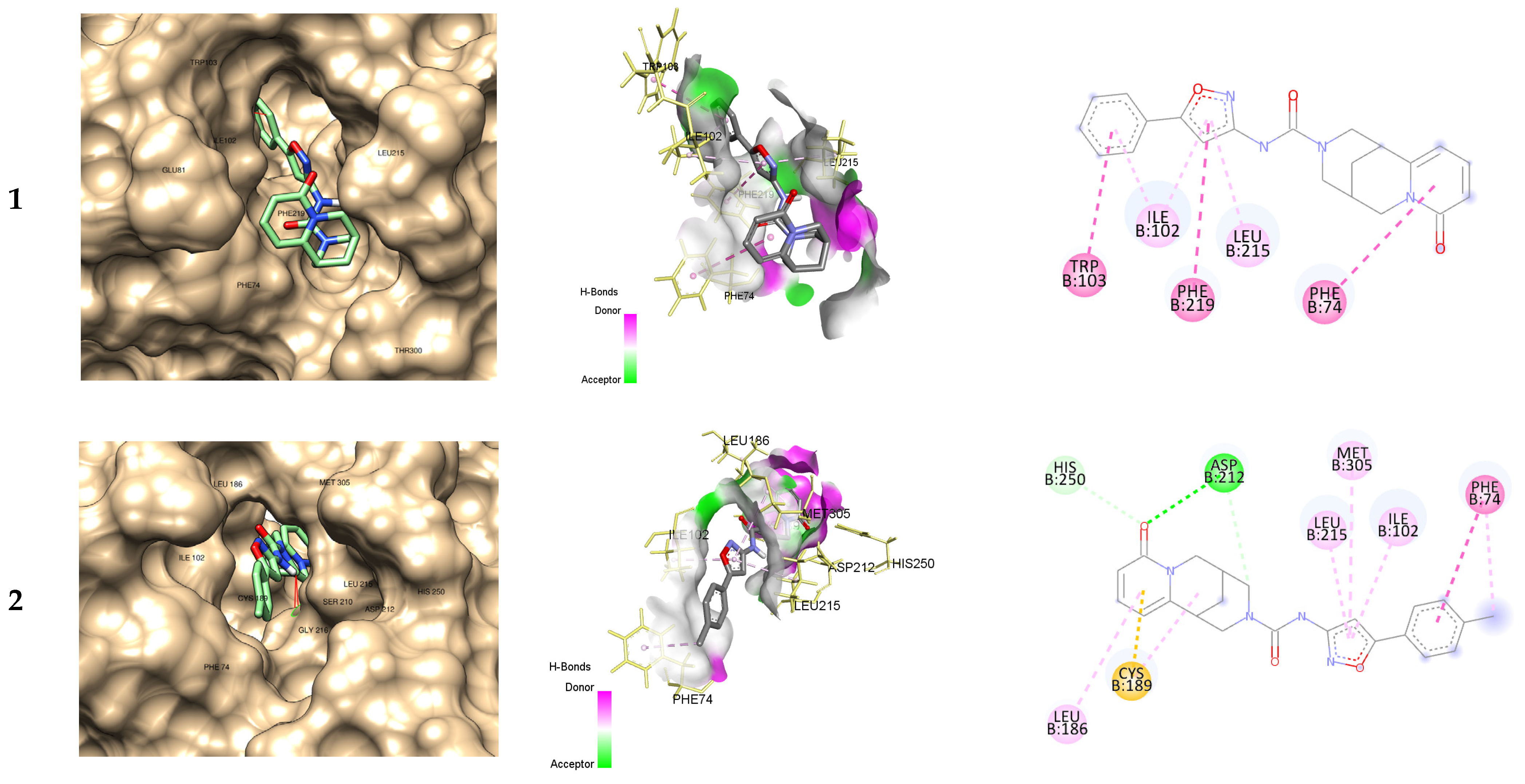 Molecules 29 03246 g006a