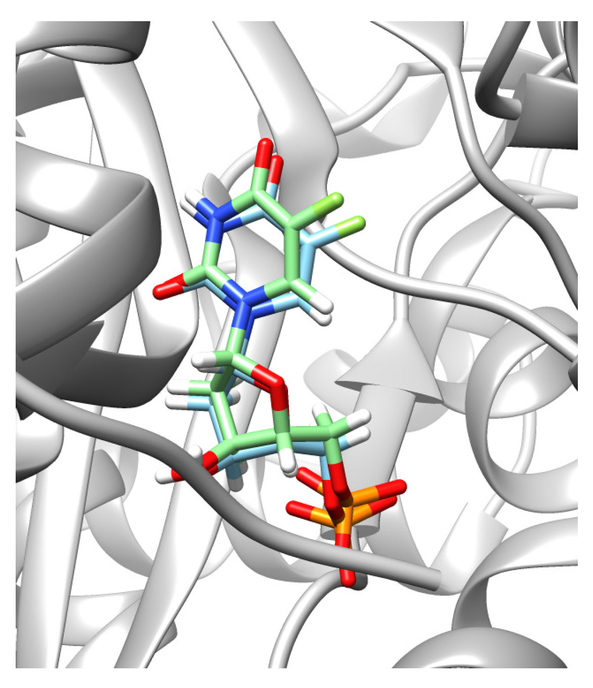 Molecules 29 03246 g007