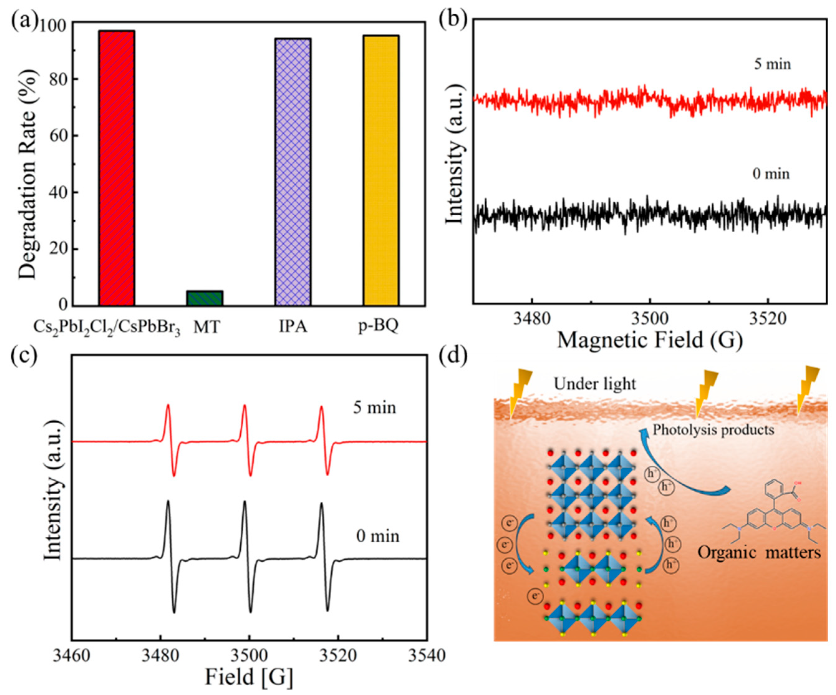 Molecules 29 03249 g007