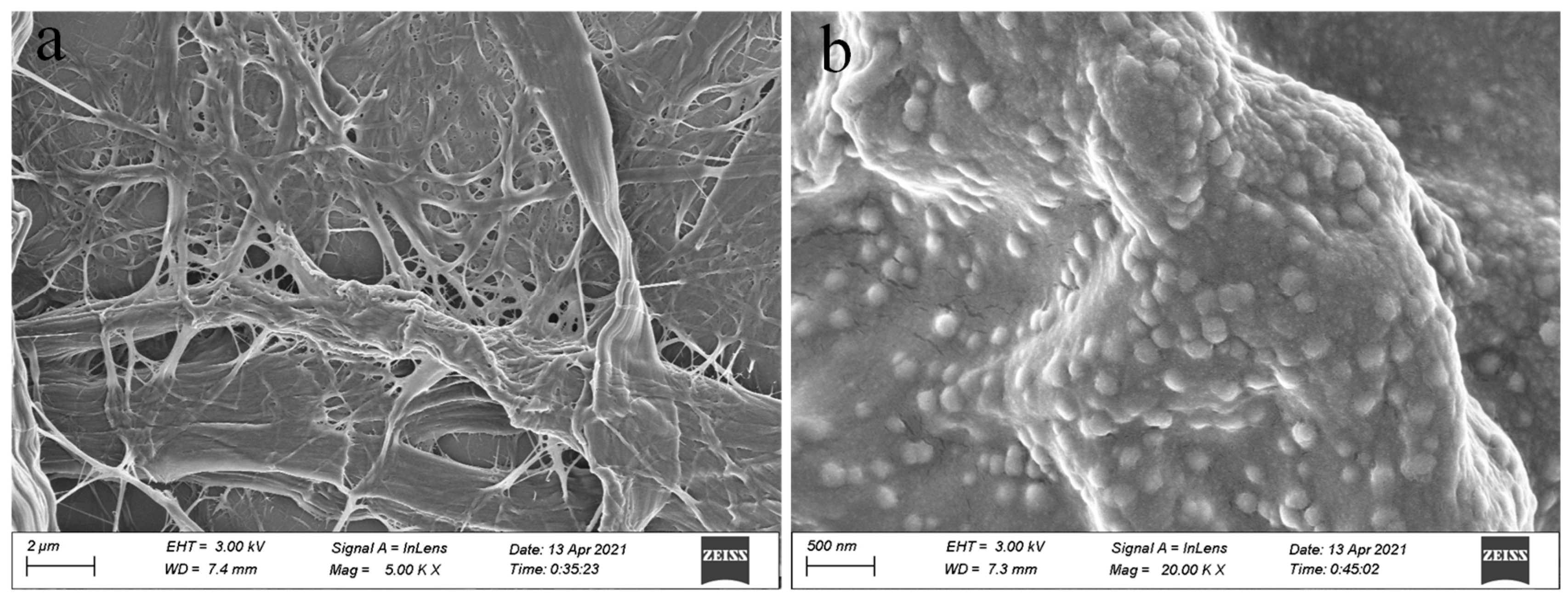 Molecules 29 03253 g002