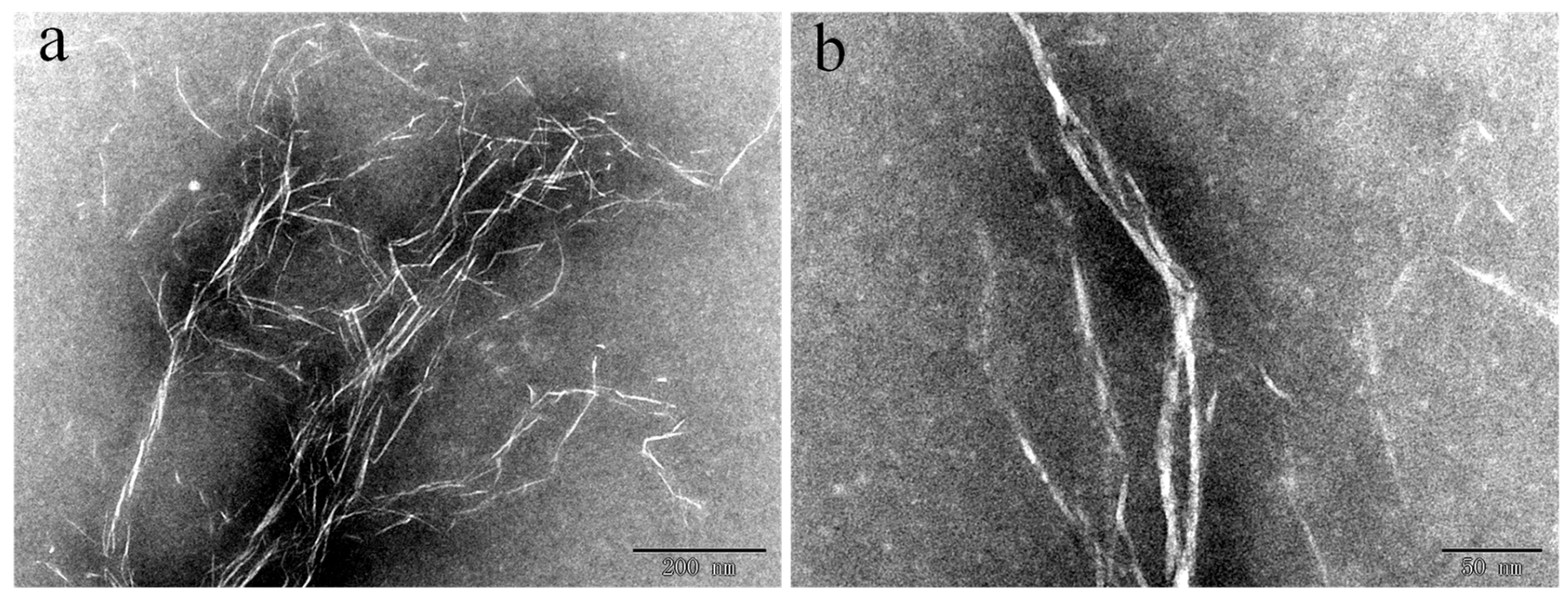 Molecules 29 03253 g003