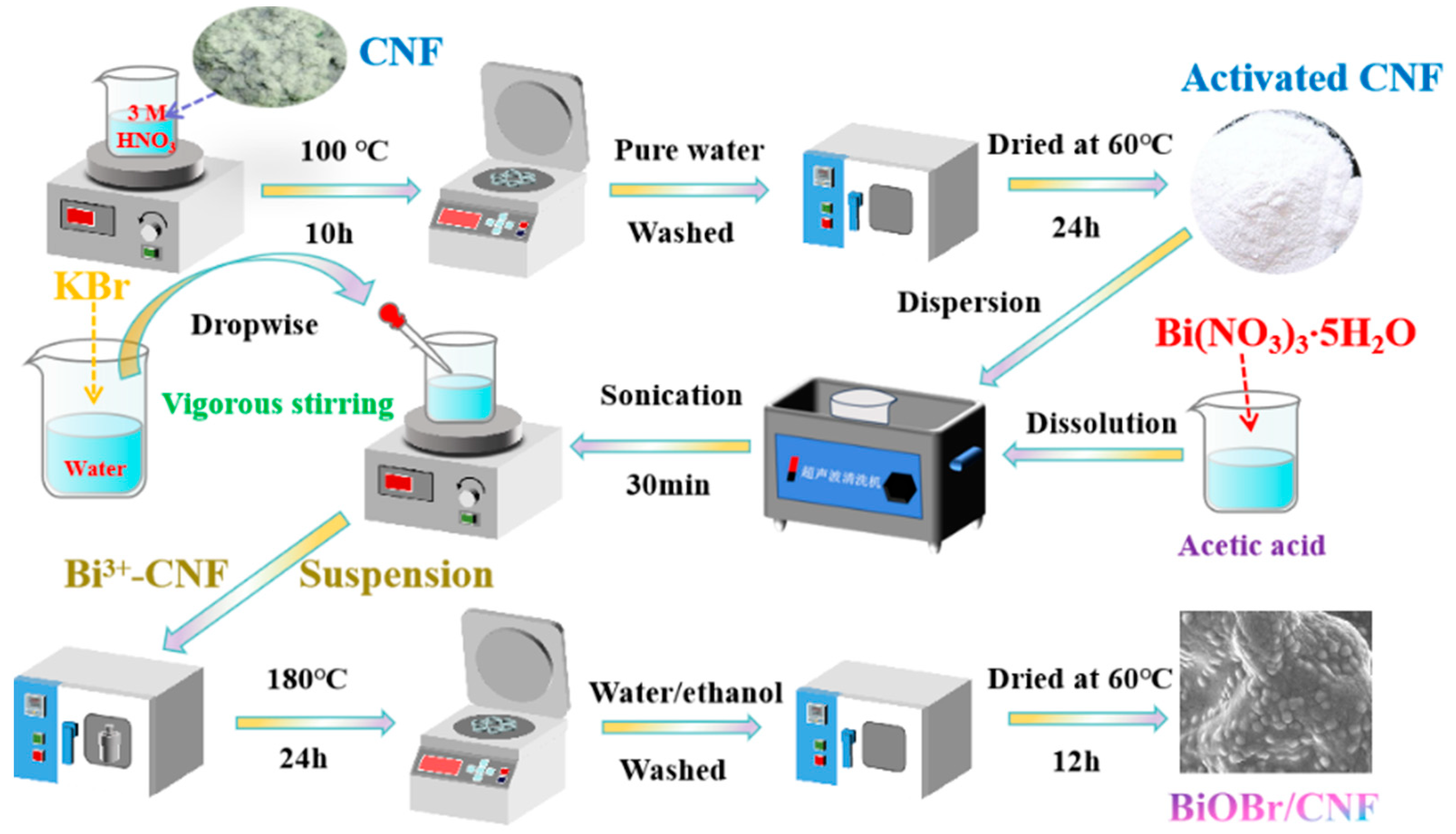 Molecules 29 03253 g011