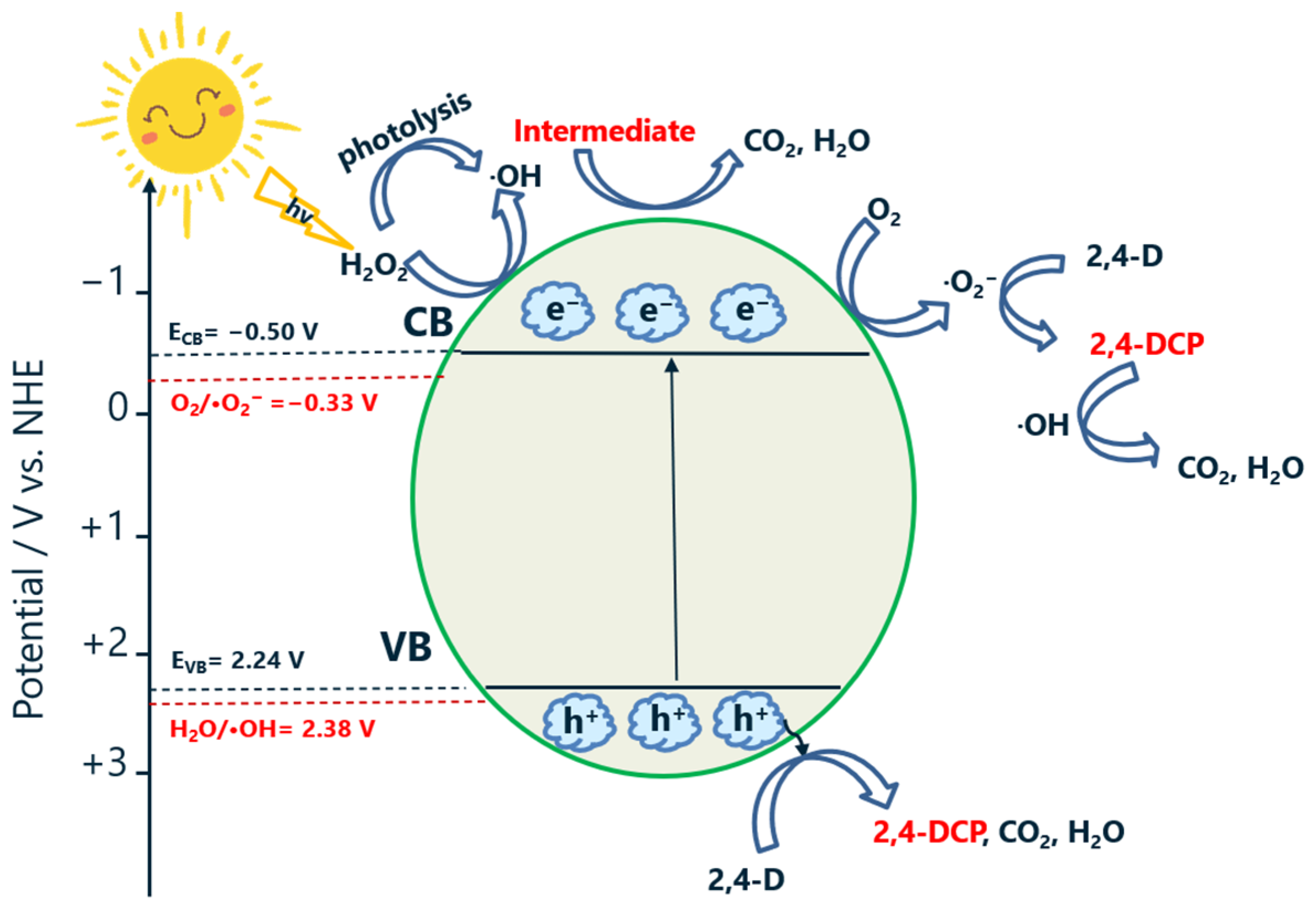 Molecules 29 03255 g009