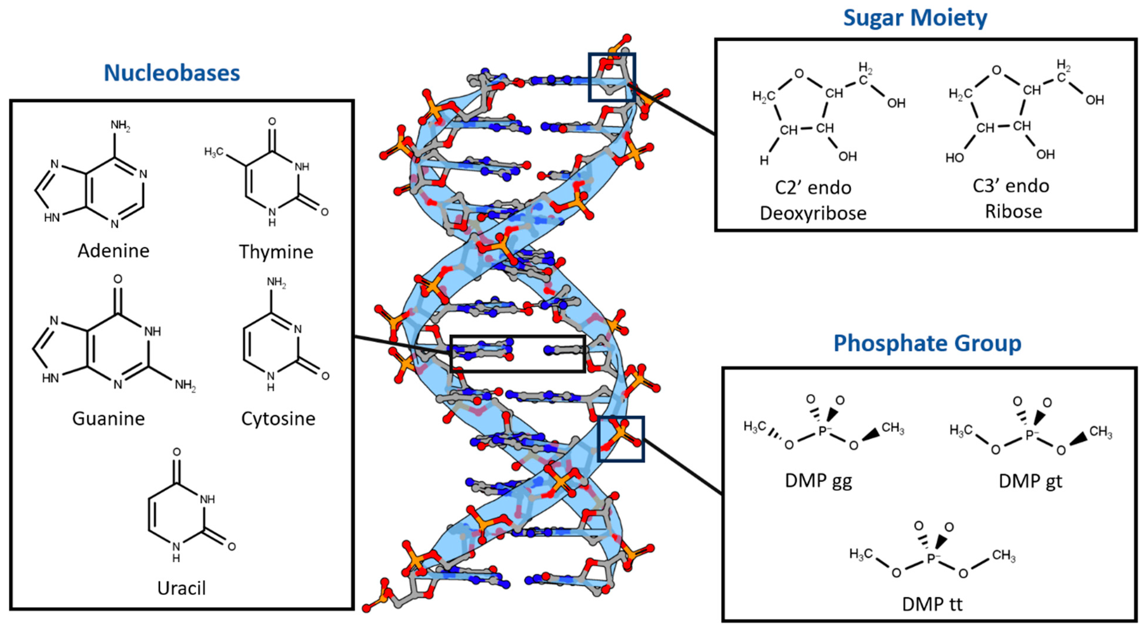 Molecules 29 03258 g001