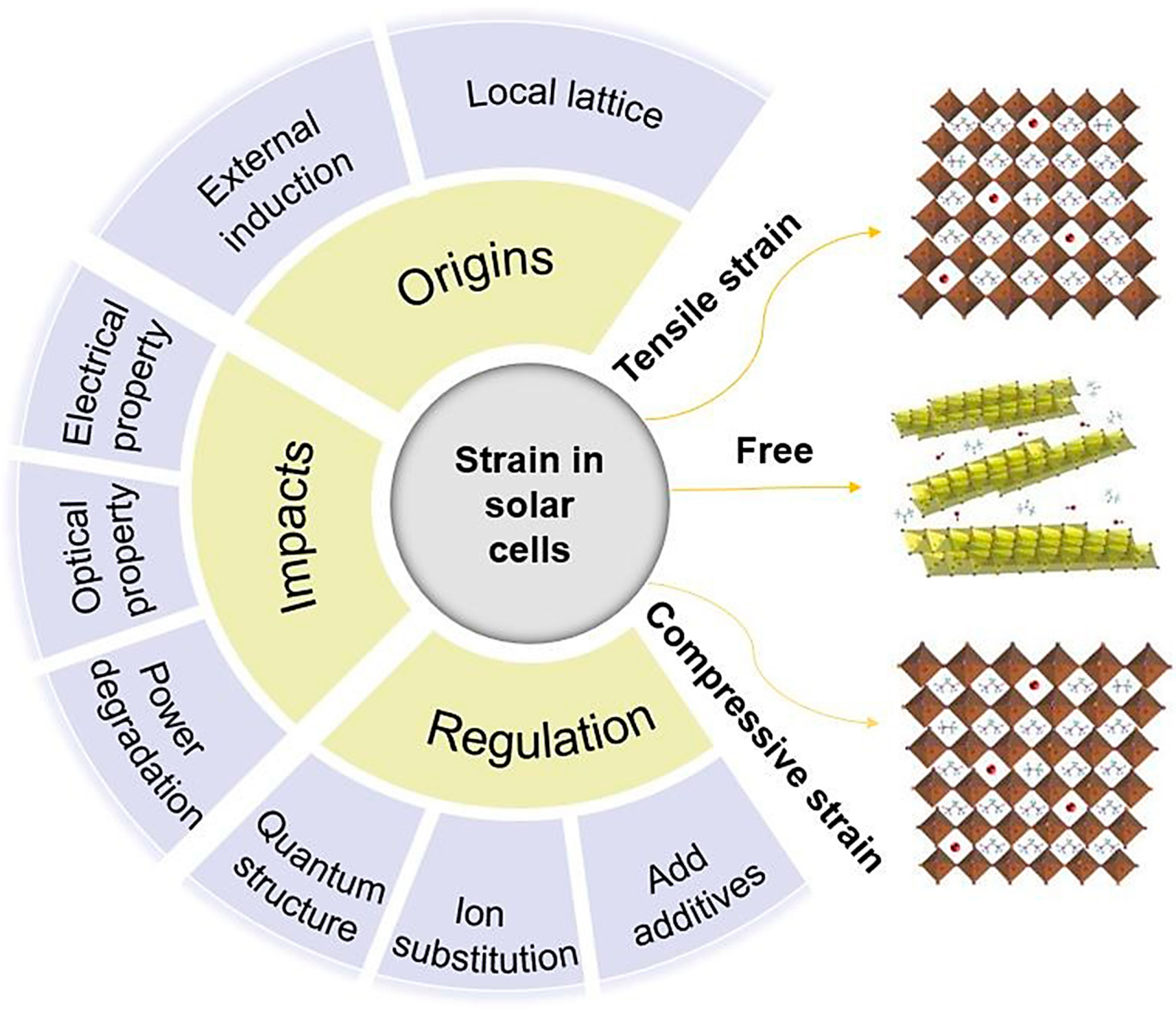 Molecules 29 03260 g001