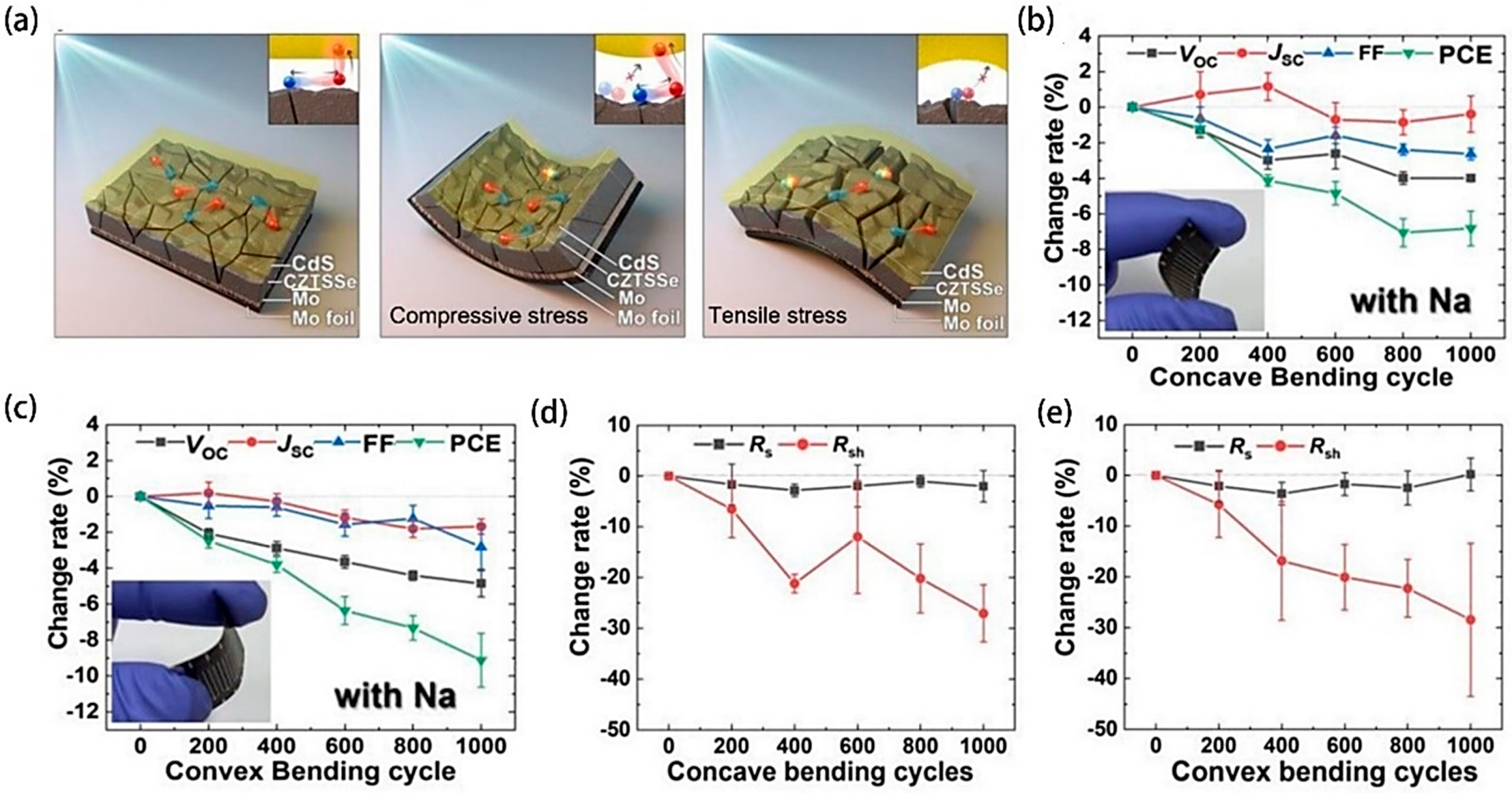 Molecules 29 03260 g005