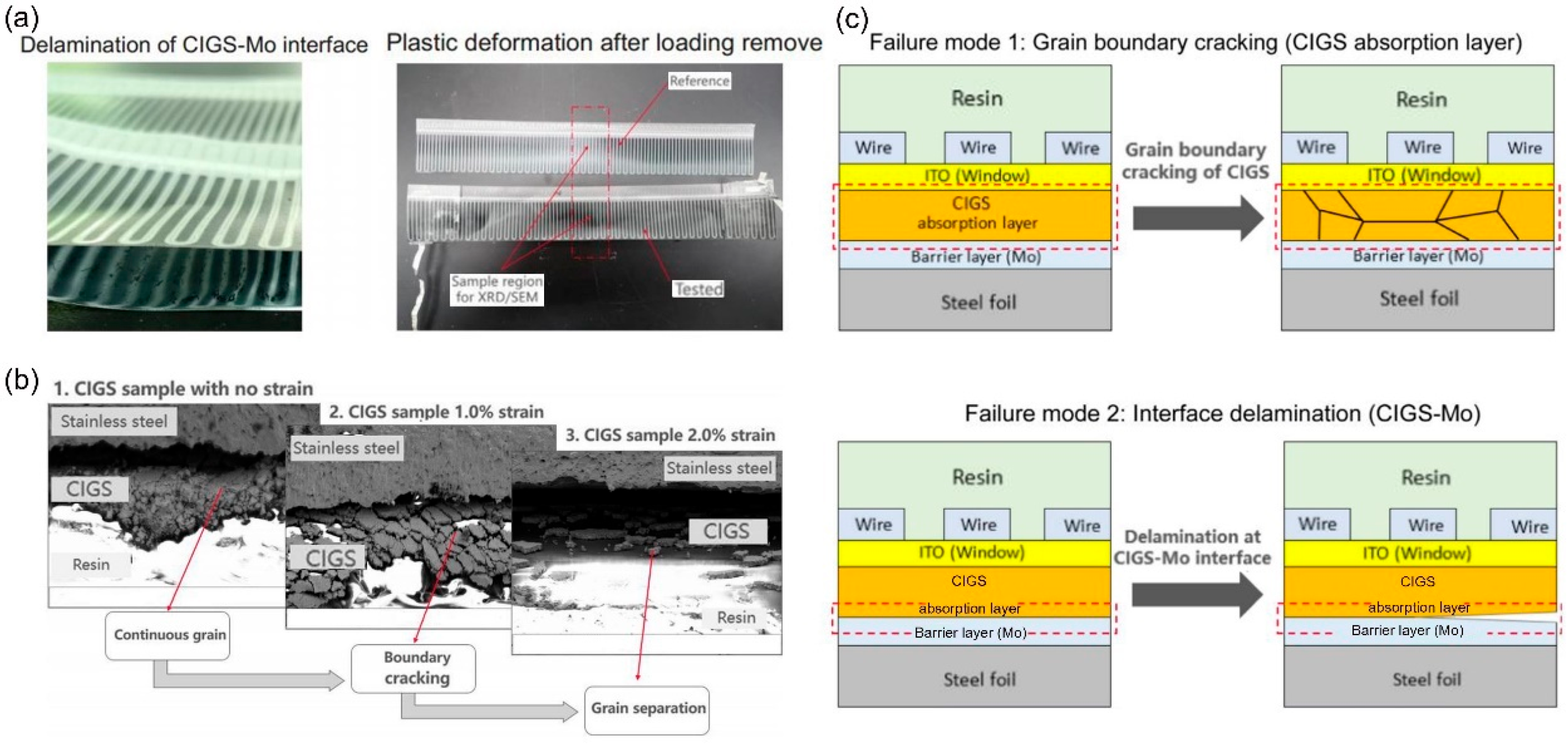 Molecules 29 03260 g007