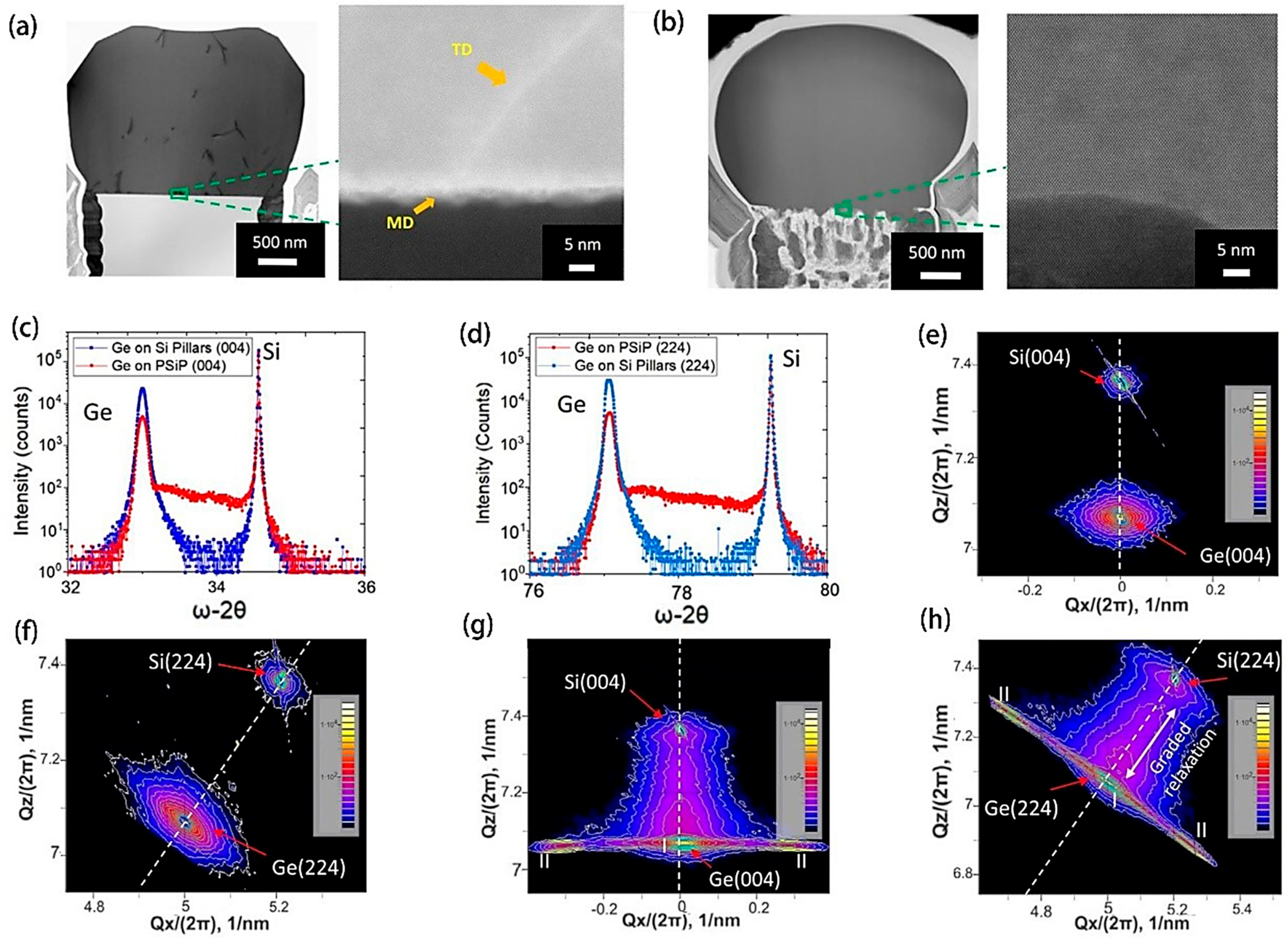 Molecules 29 03260 g009