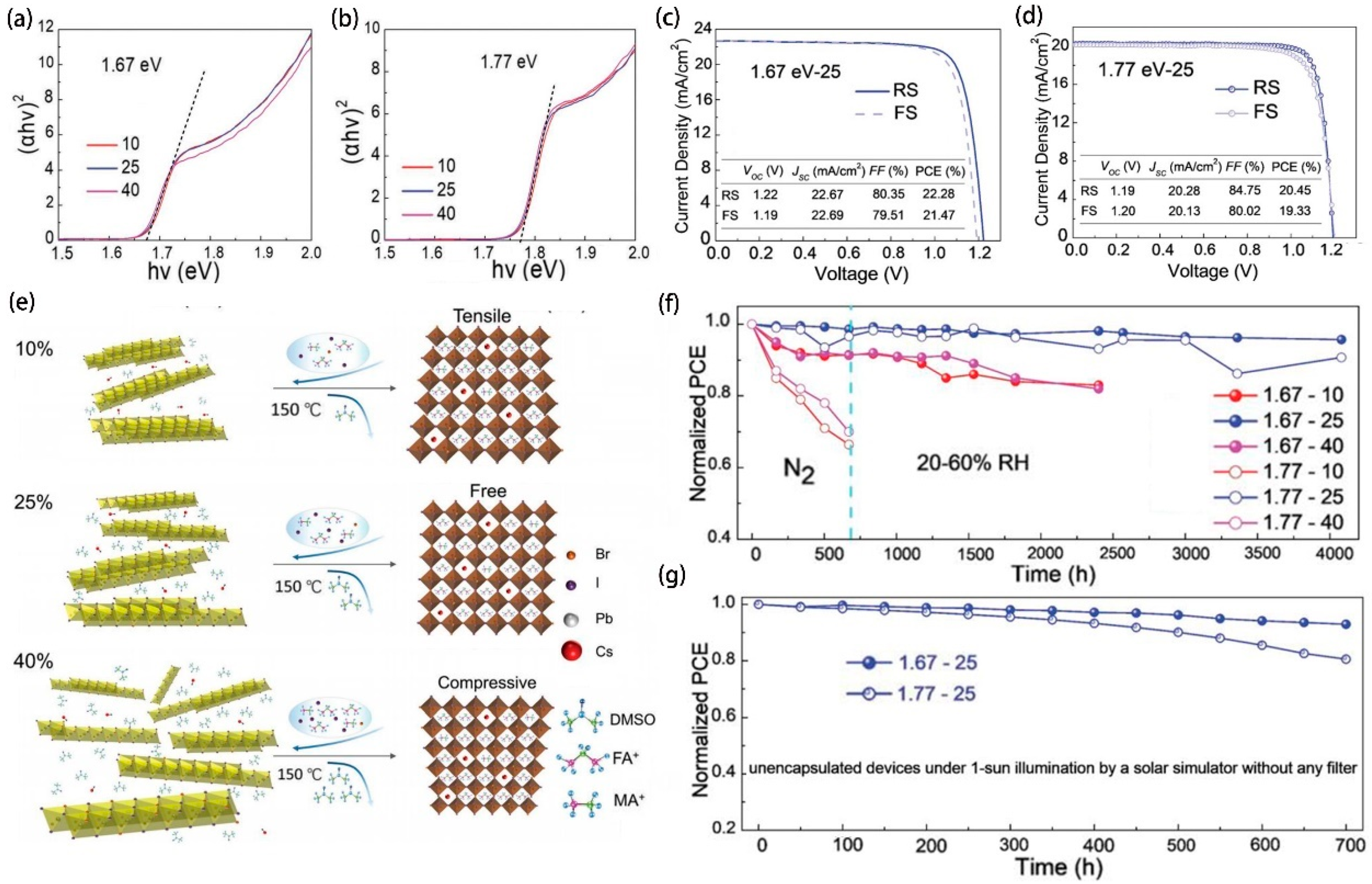 Molecules 29 03260 g014