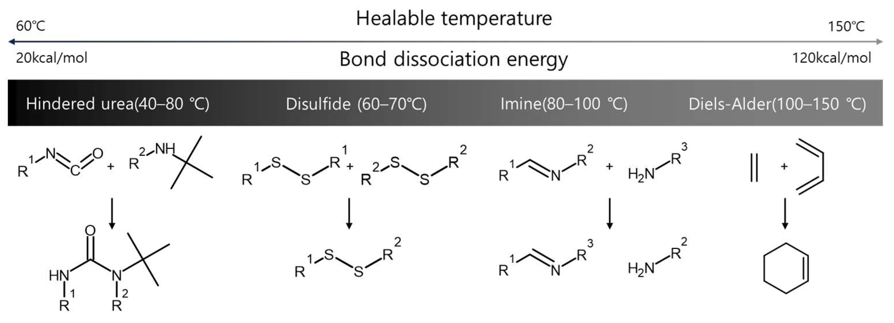 Molecules 29 03261 g002