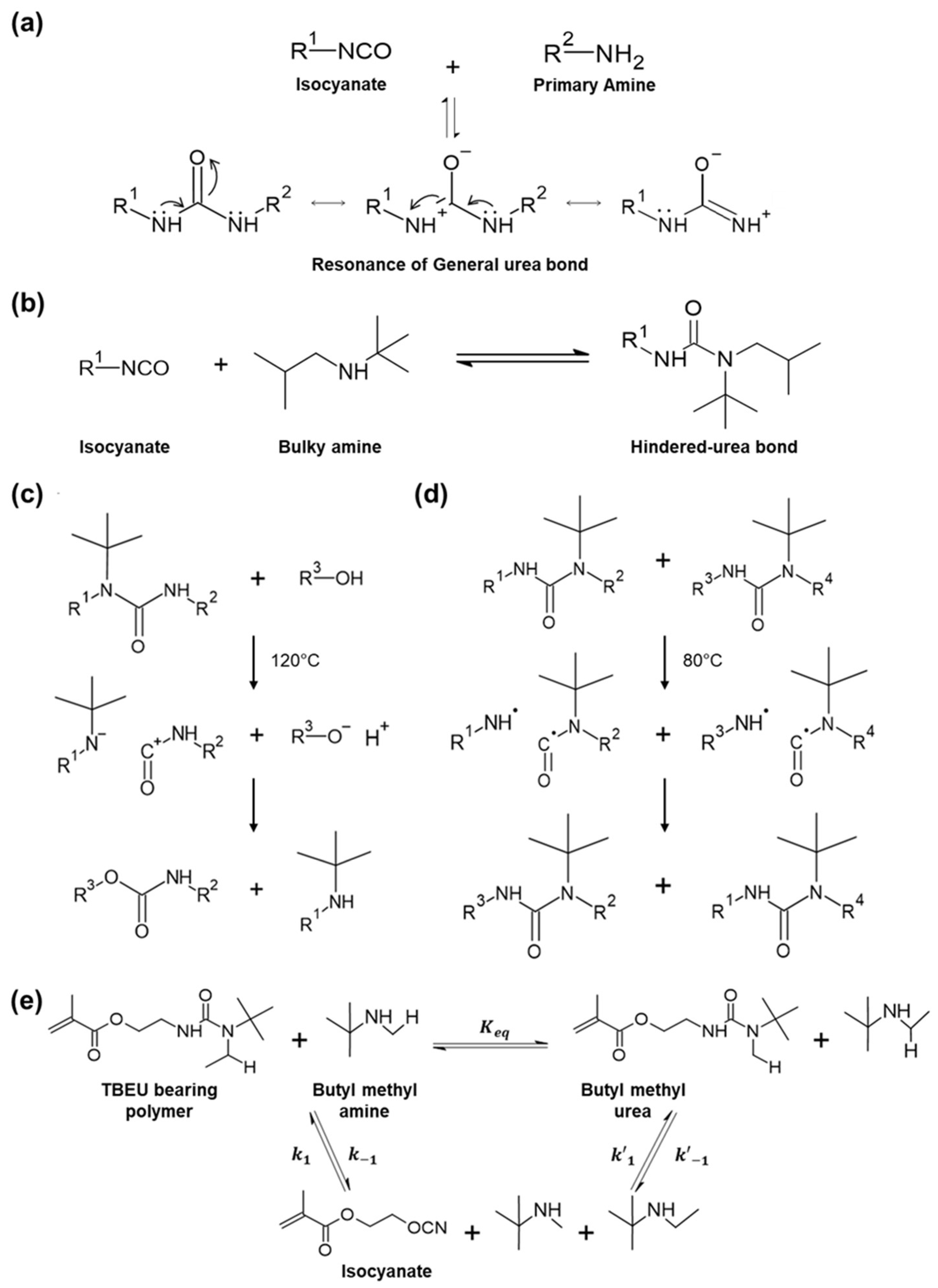 Molecules 29 03261 g003