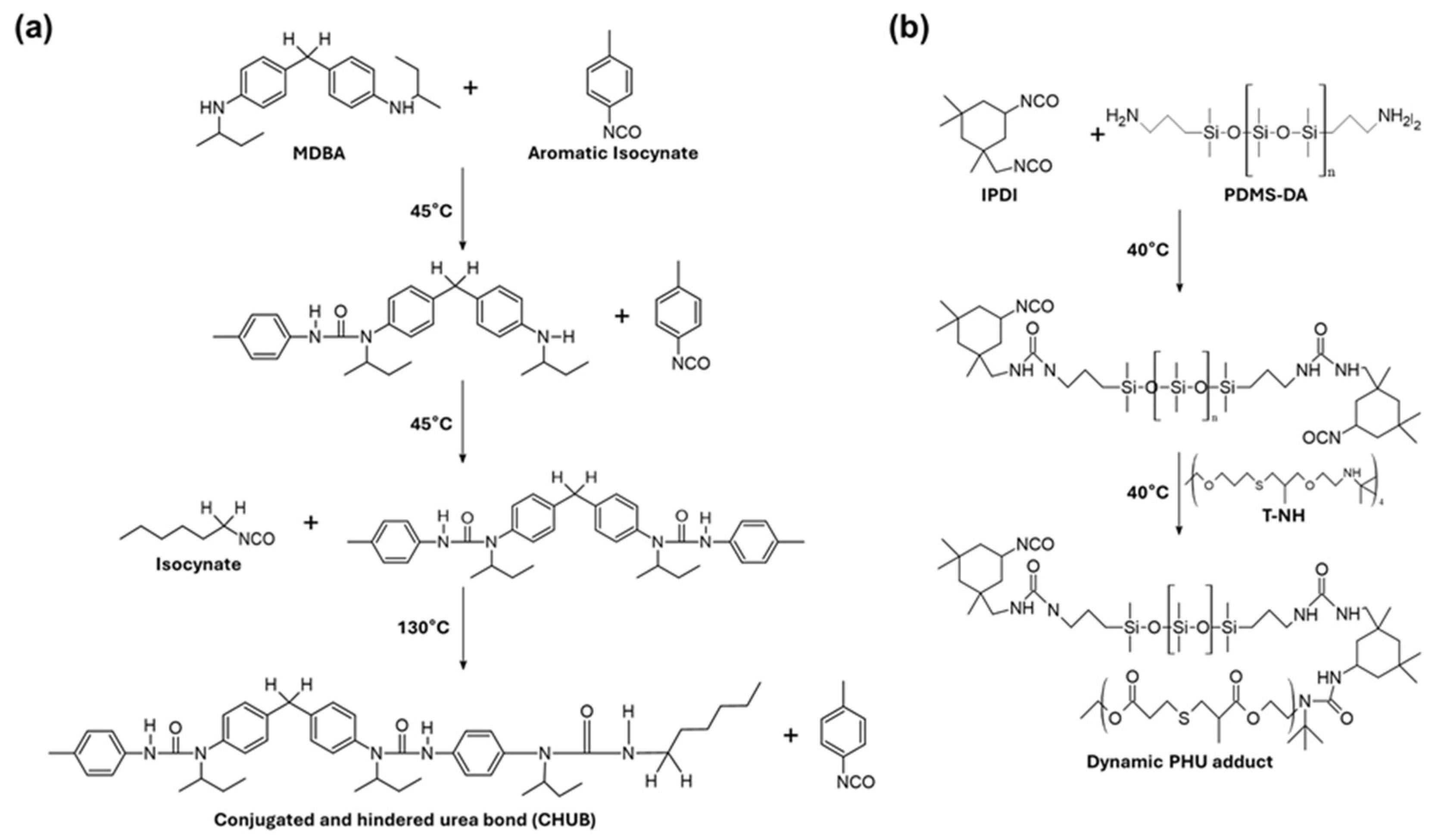 Molecules 29 03261 g004