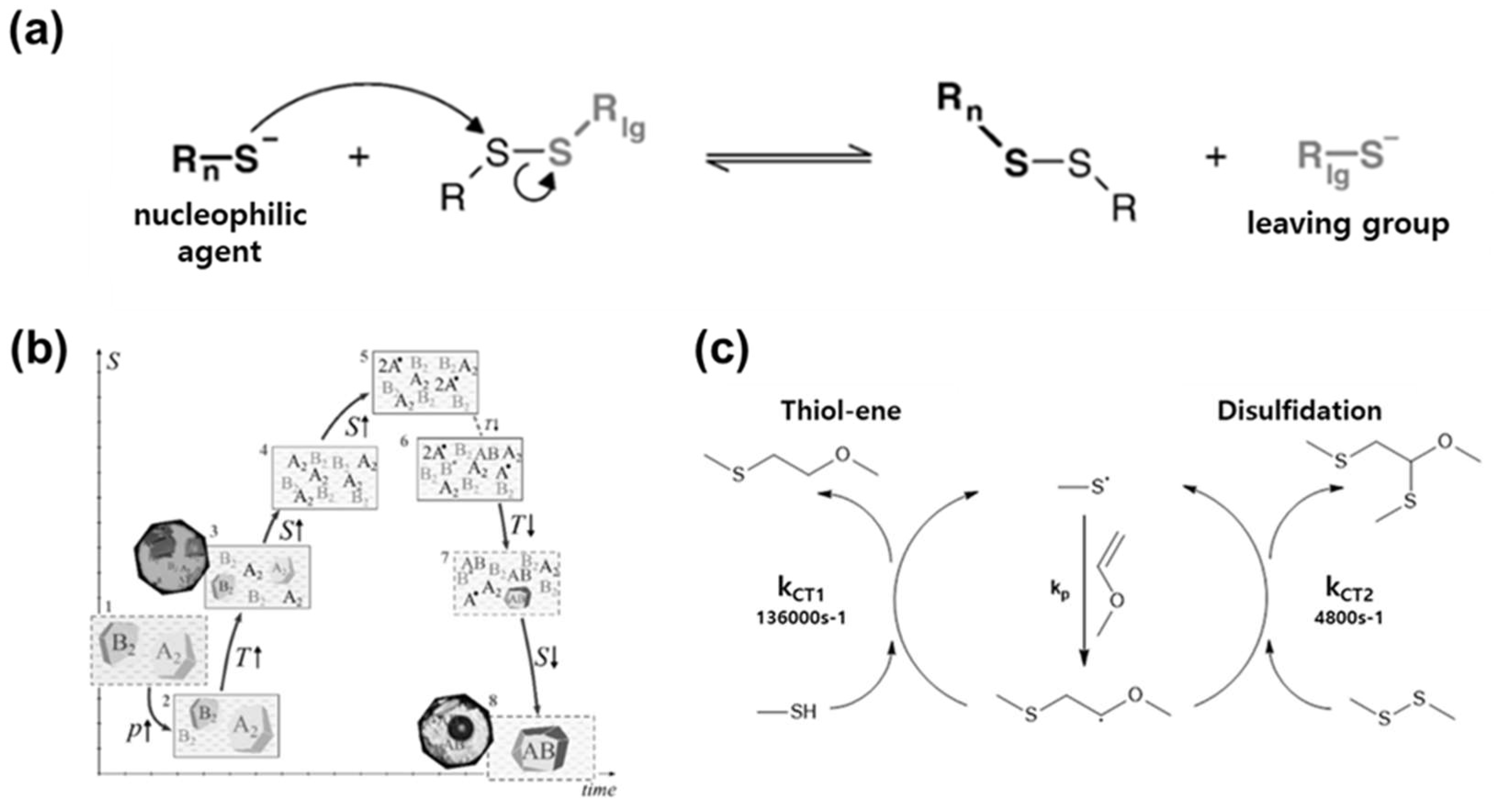 Molecules 29 03261 g007