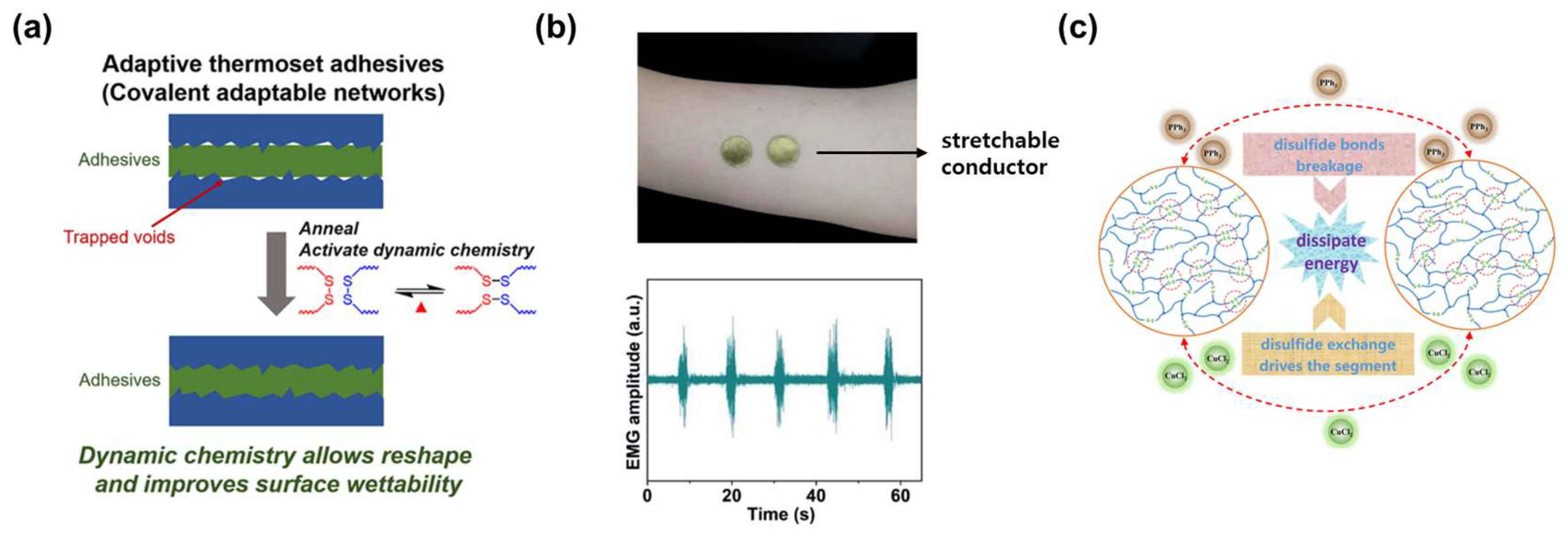 Molecules 29 03261 g009
