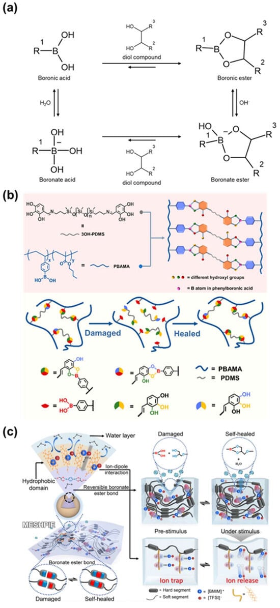 Molecules 29 03261 g018
