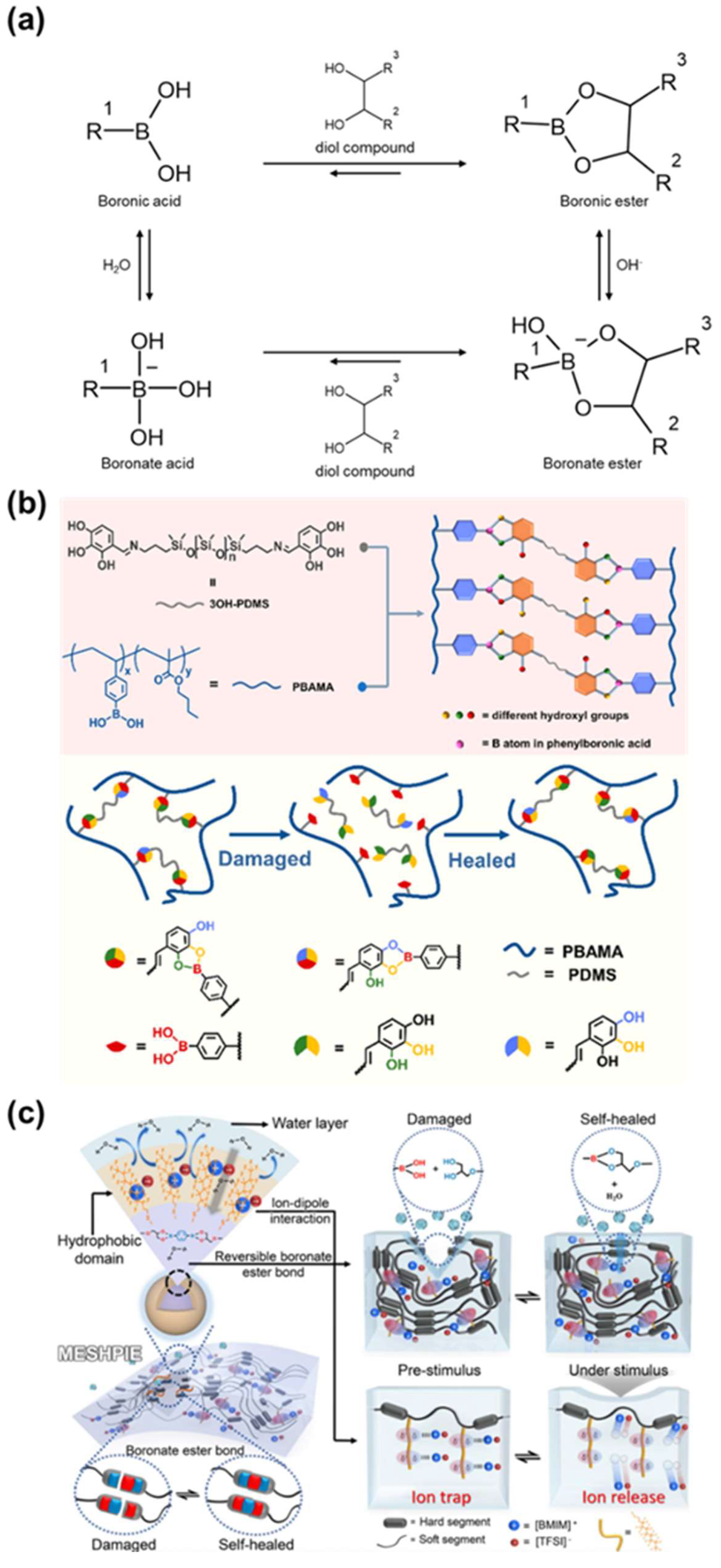Molecules 29 03261 g018
