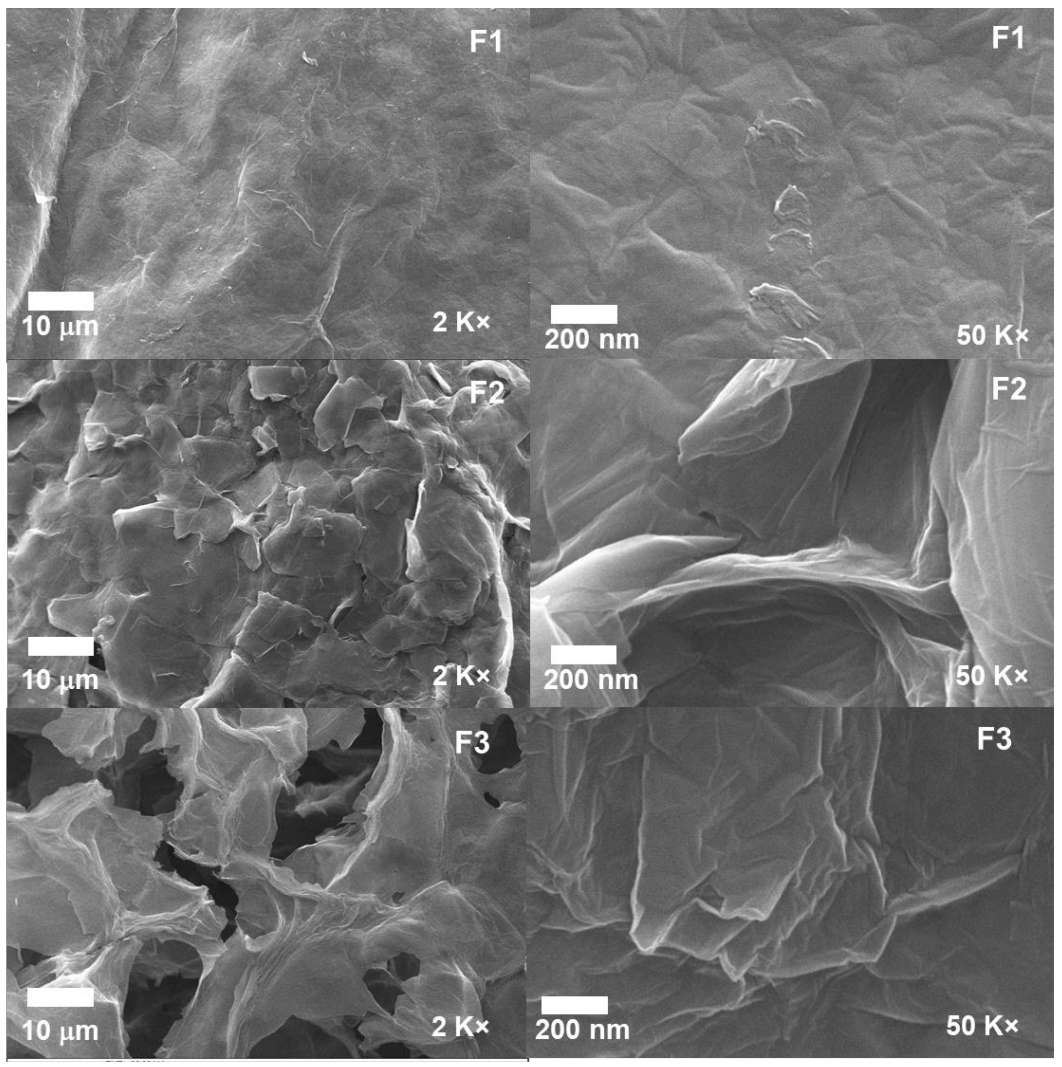 Molecules 29 03263 g007