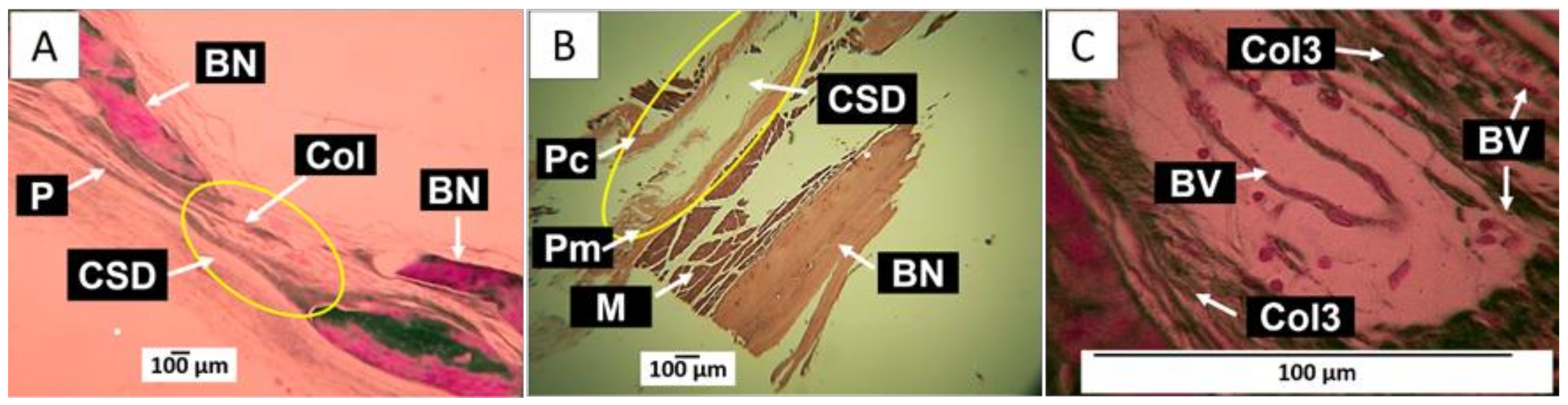 Molecules 29 03263 g008