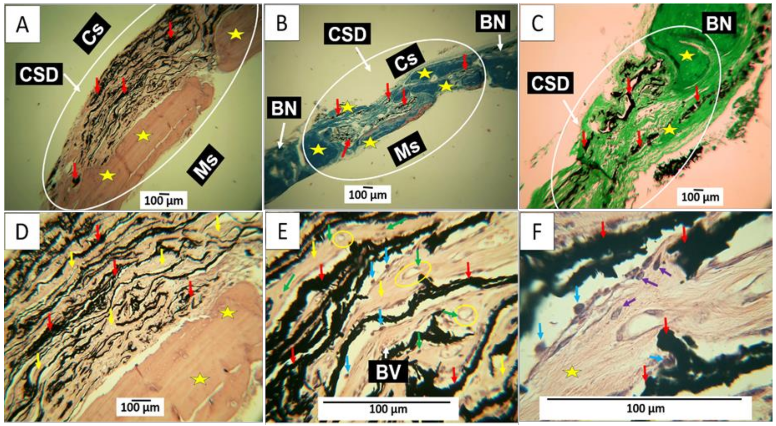 Molecules 29 03263 g009