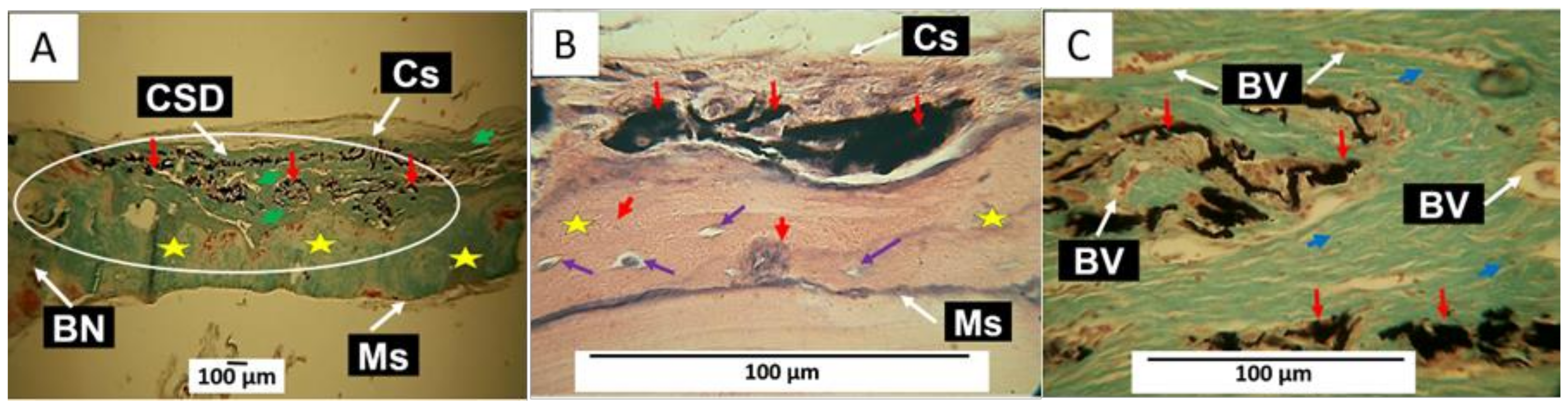 Molecules 29 03263 g010