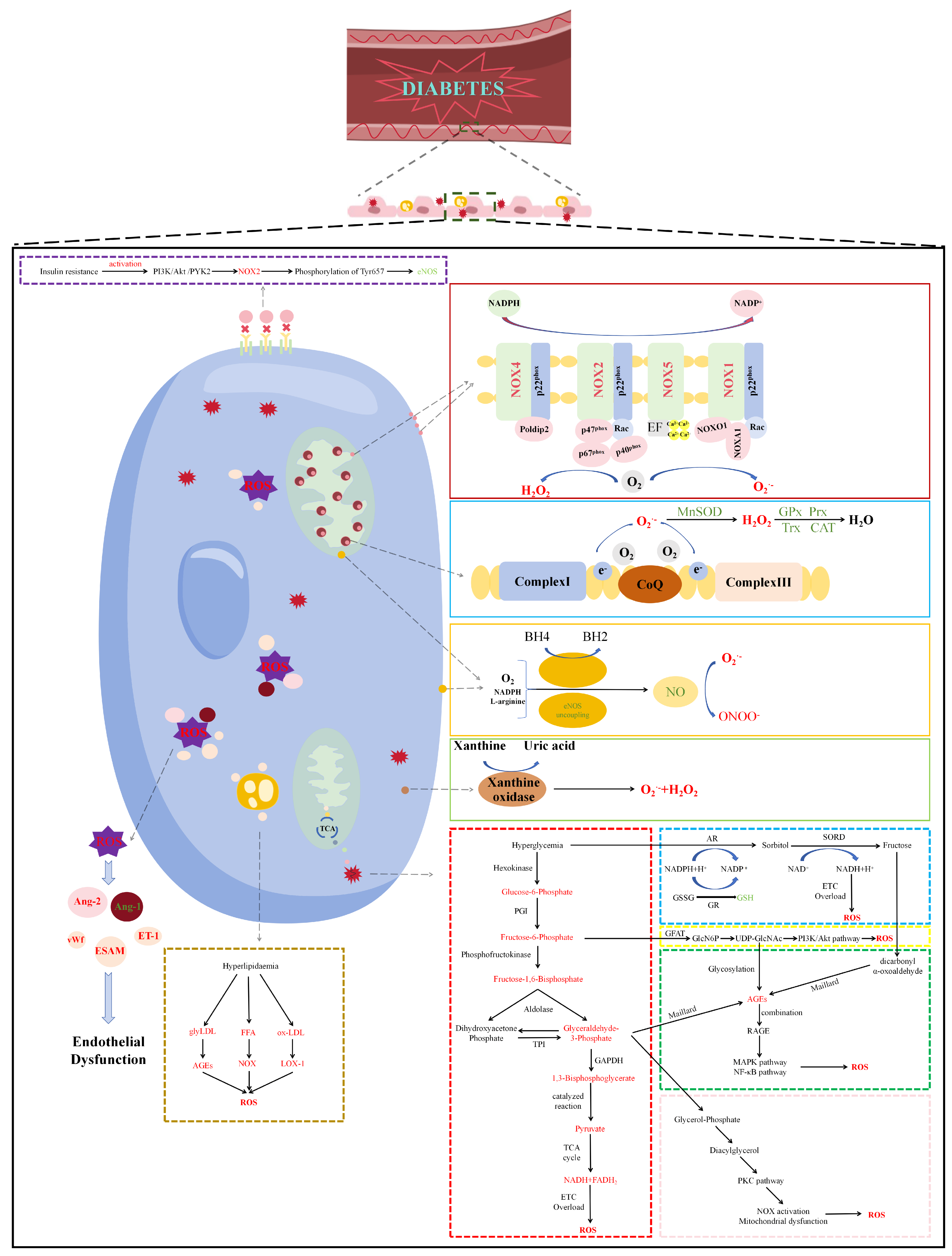 Molecules 29 03265 g001