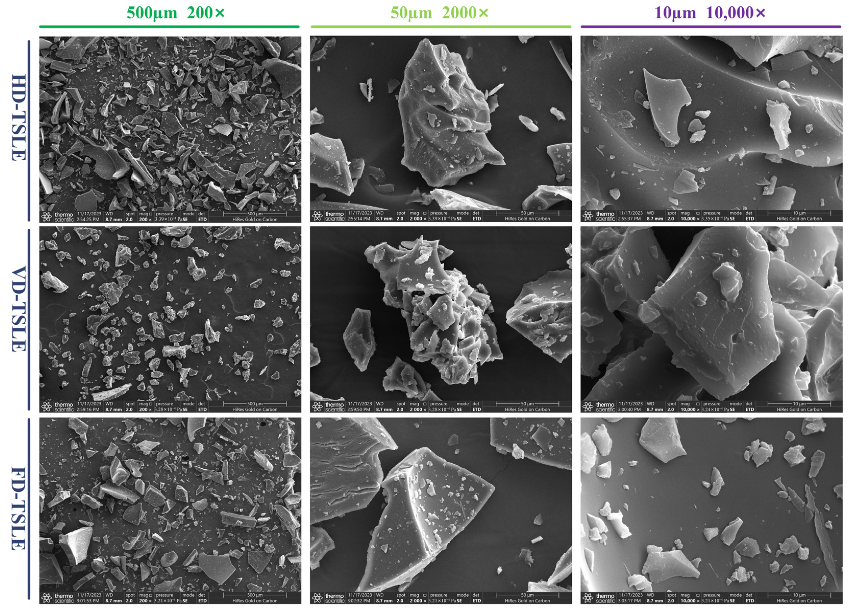 Molecules 29 03266 g005