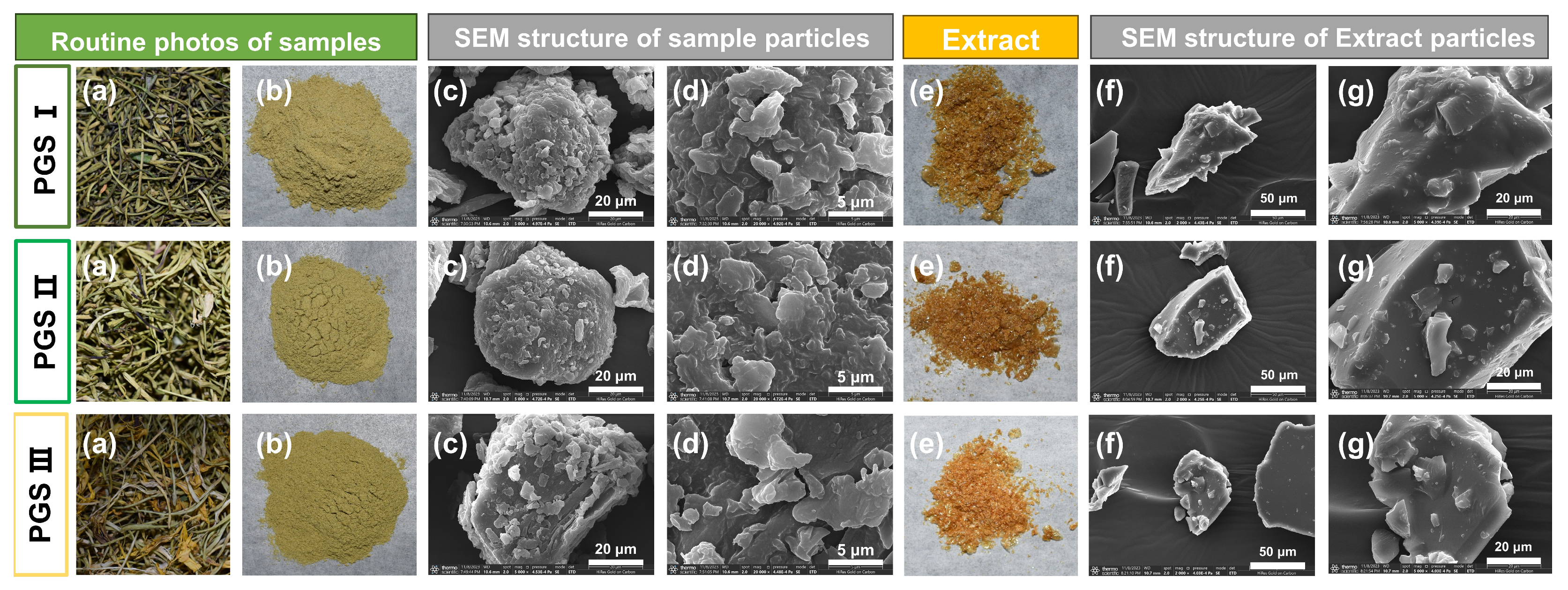 Molecules 29 03280 g006