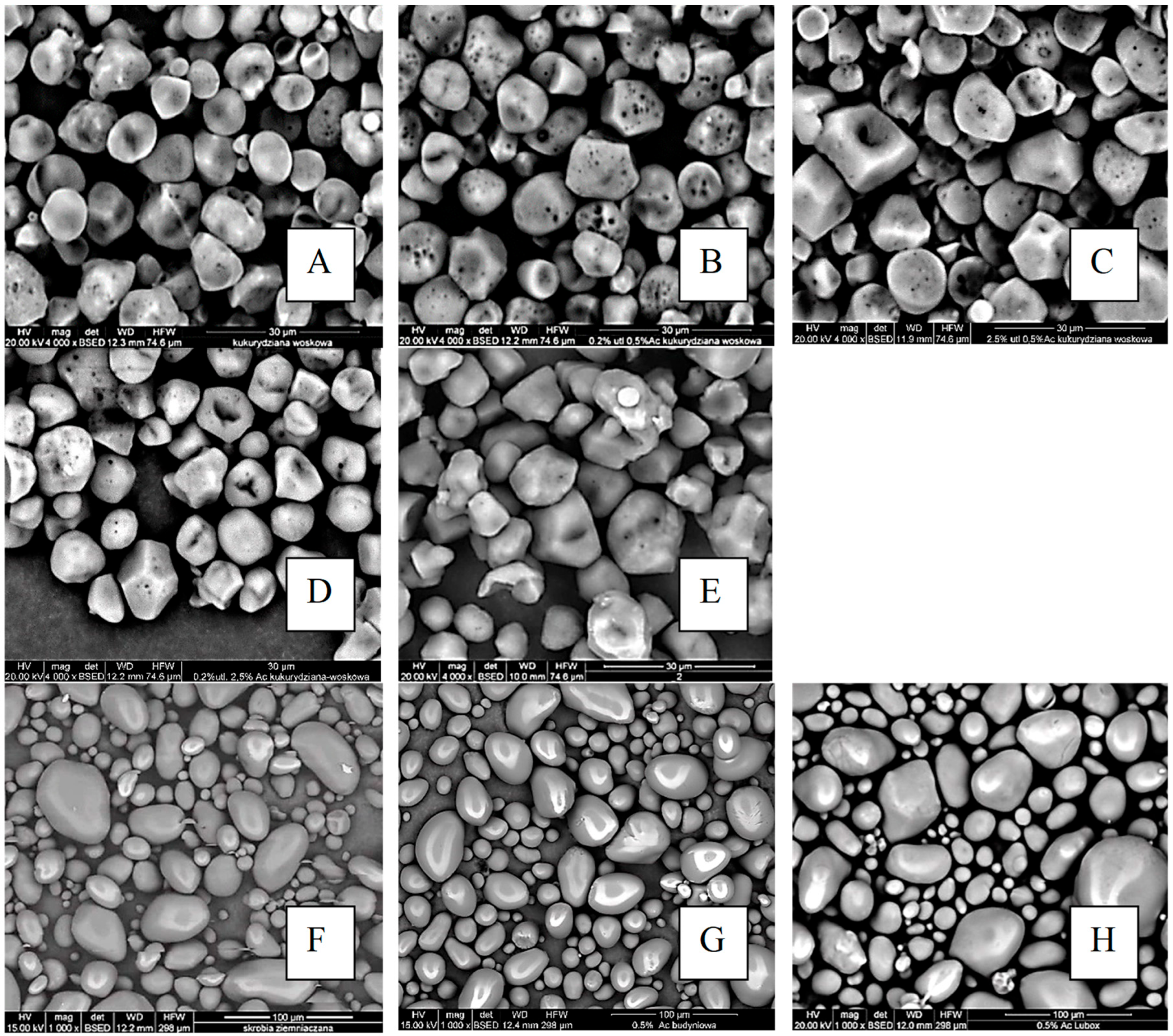 Molecules 29 03292 g002