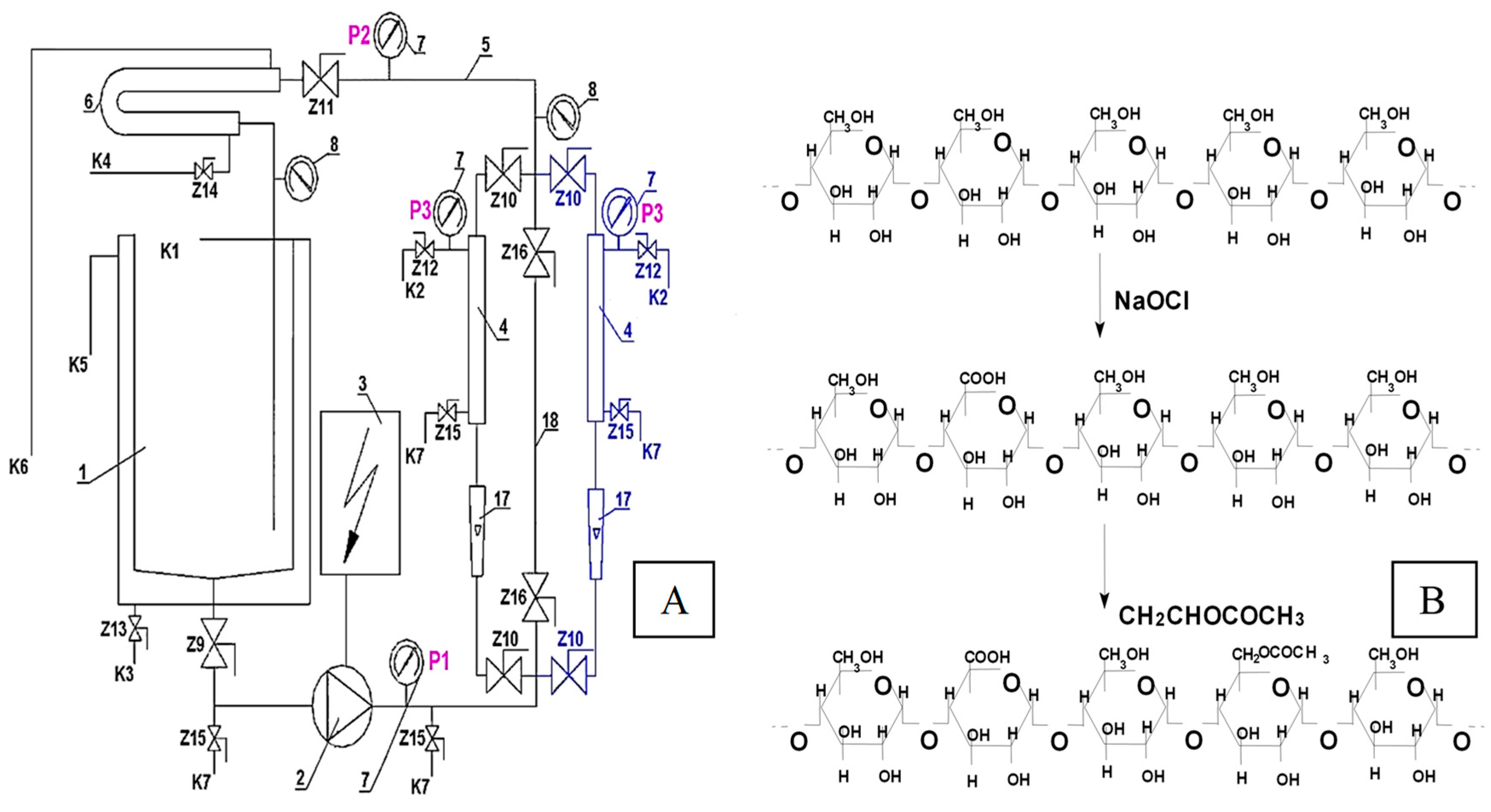 Molecules 29 03292 g010
