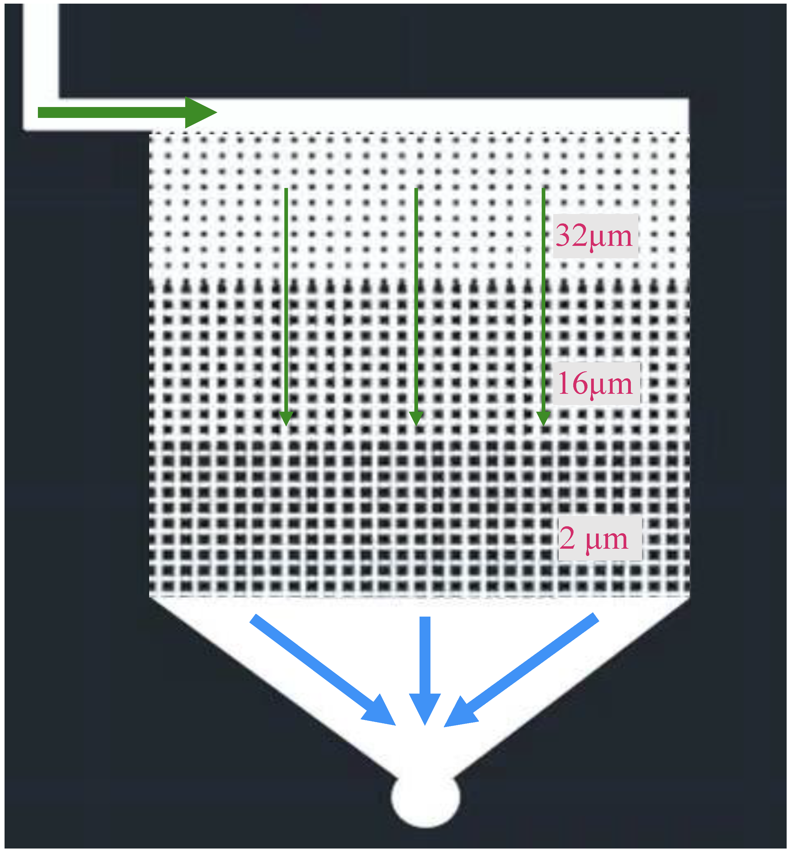 Molecules 29 03293 g002