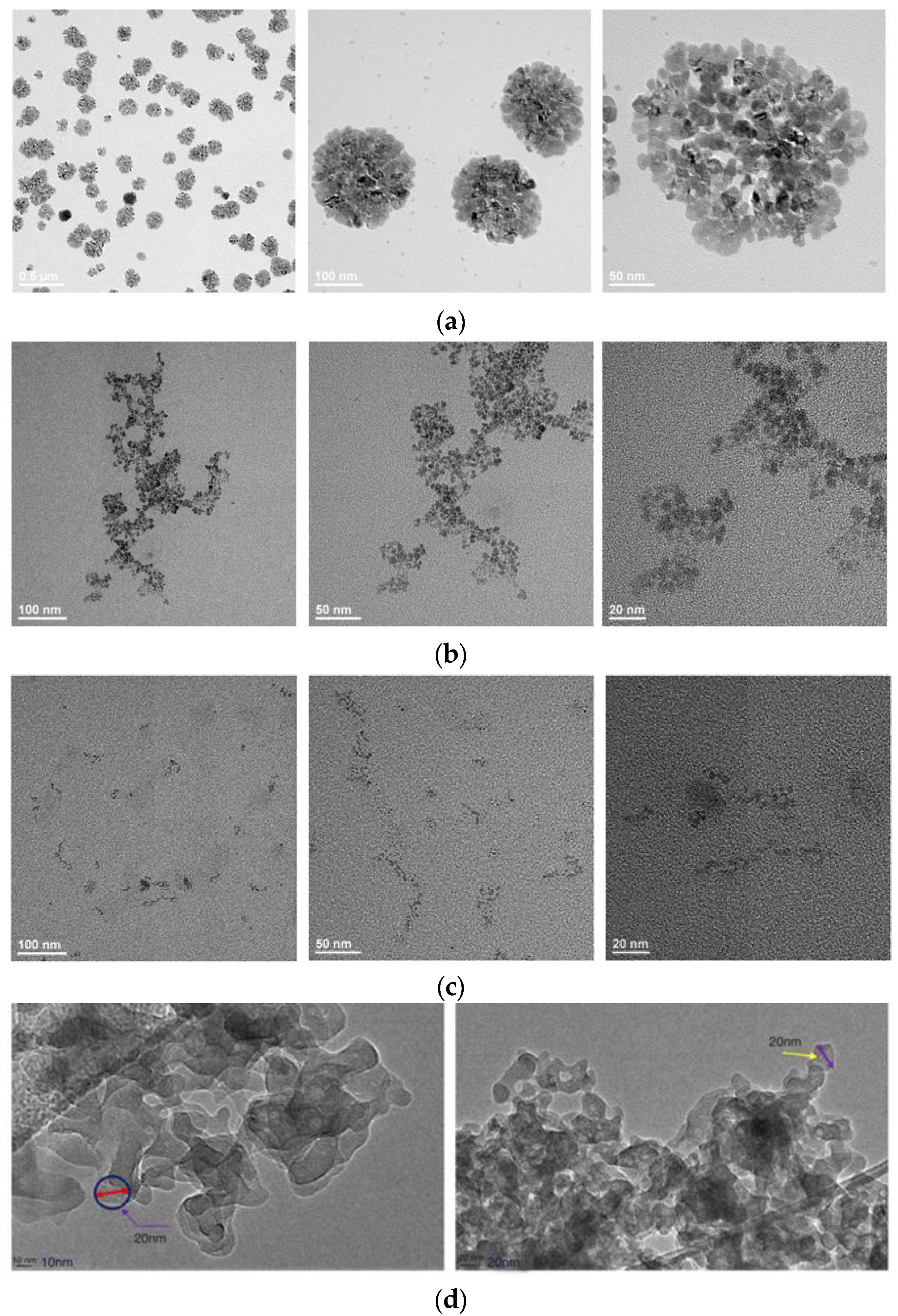 Molecules 29 03293 g009