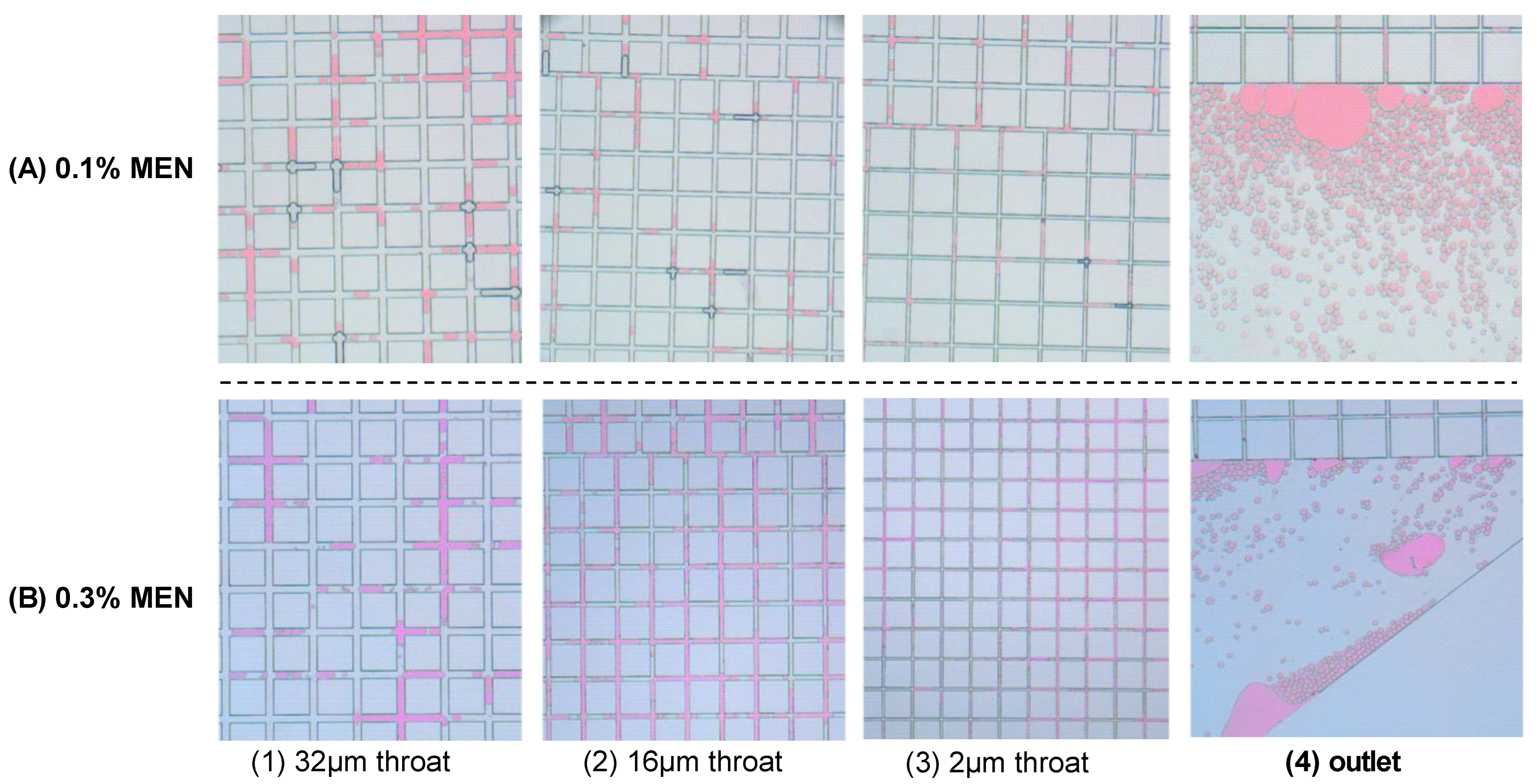 Molecules 29 03293 g012