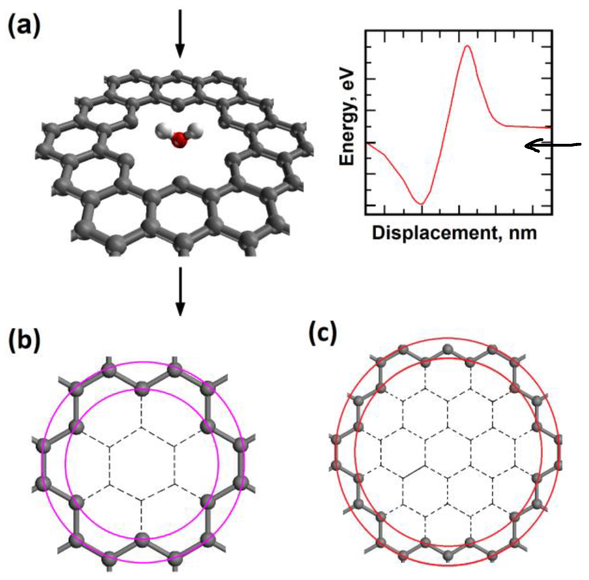 Molecules 29 03306 g001