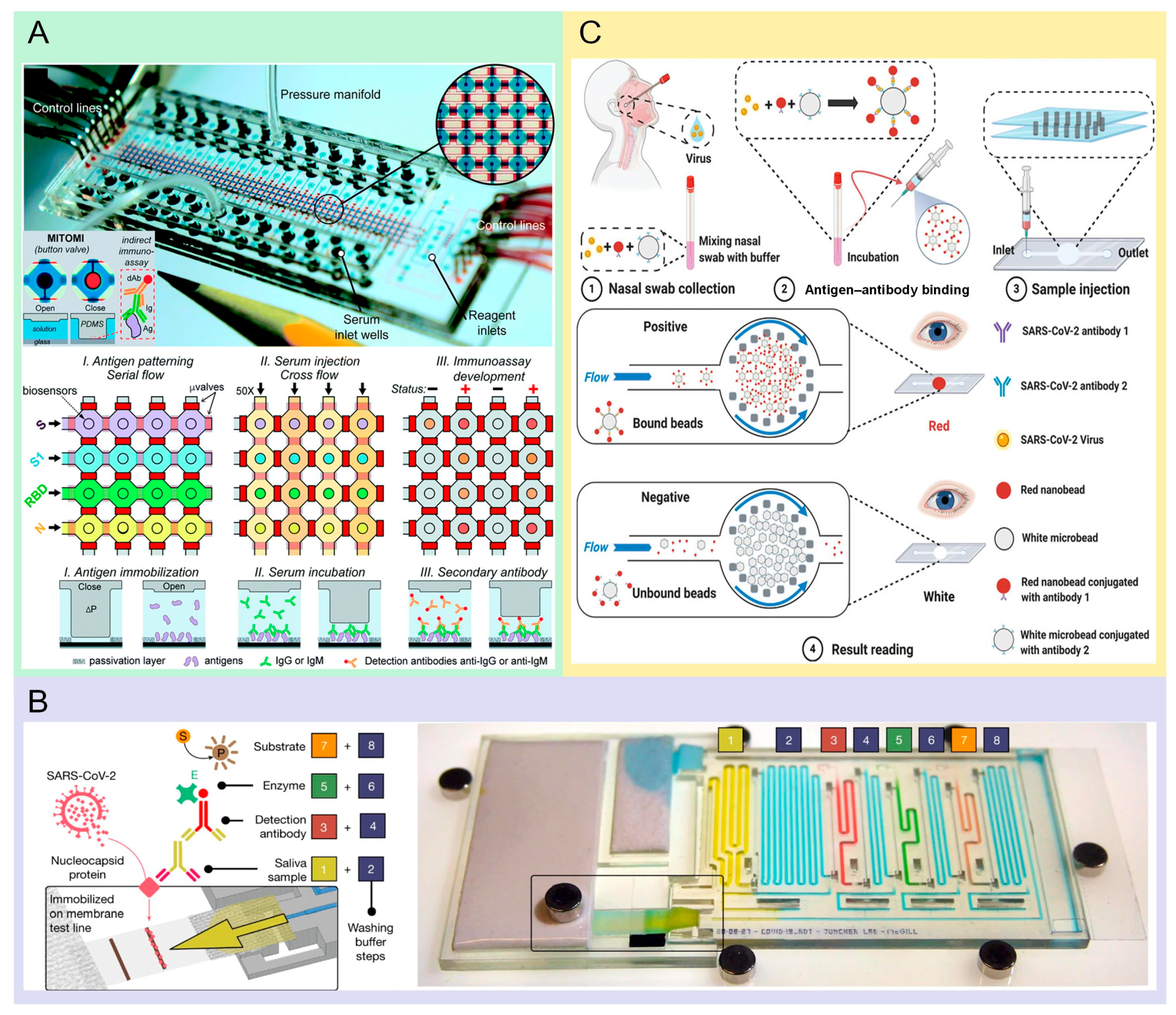 Molecules 29 03322 g001 Molecules 29 03322 g001