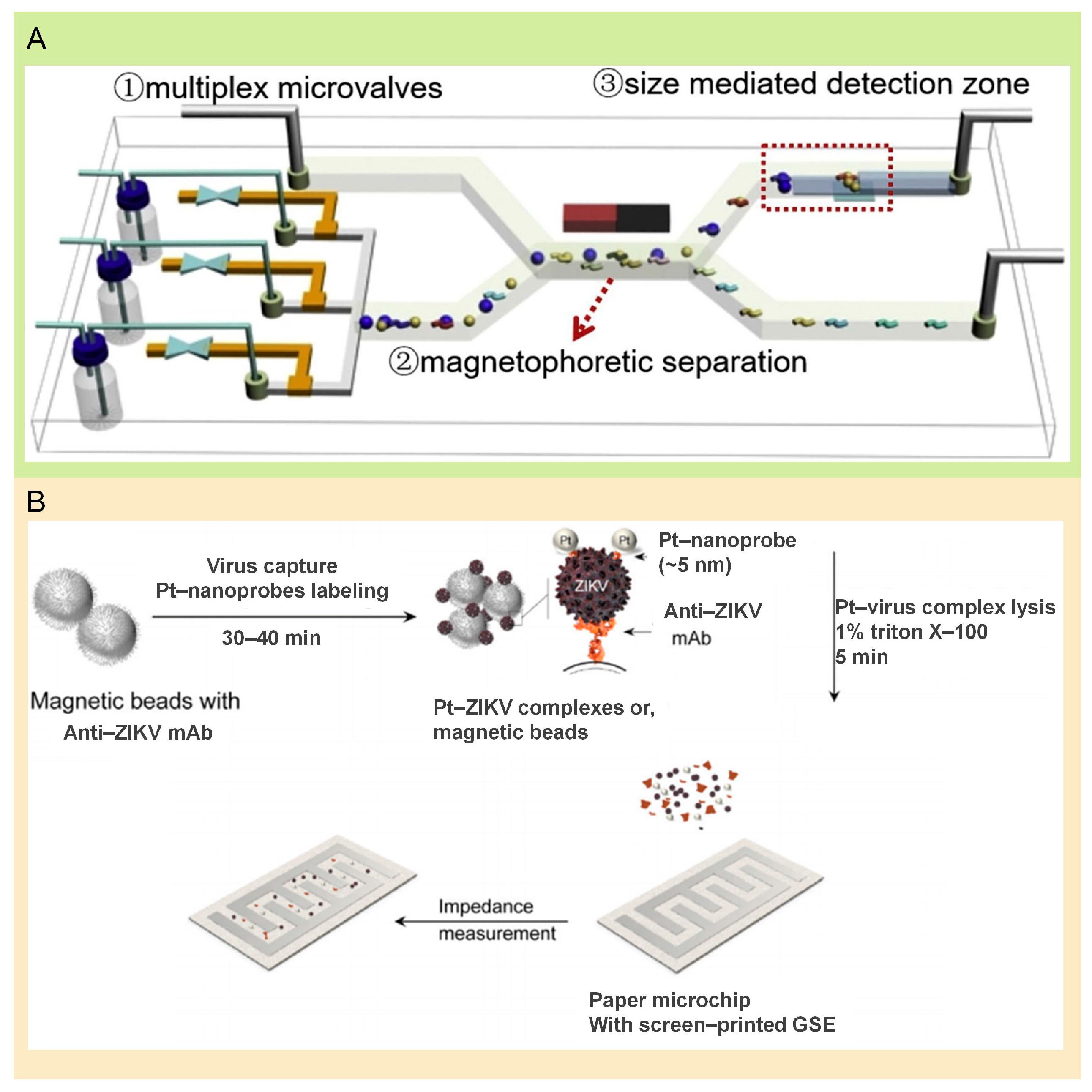 Molecules 29 03322 g002 Molecules 29 03322 g002