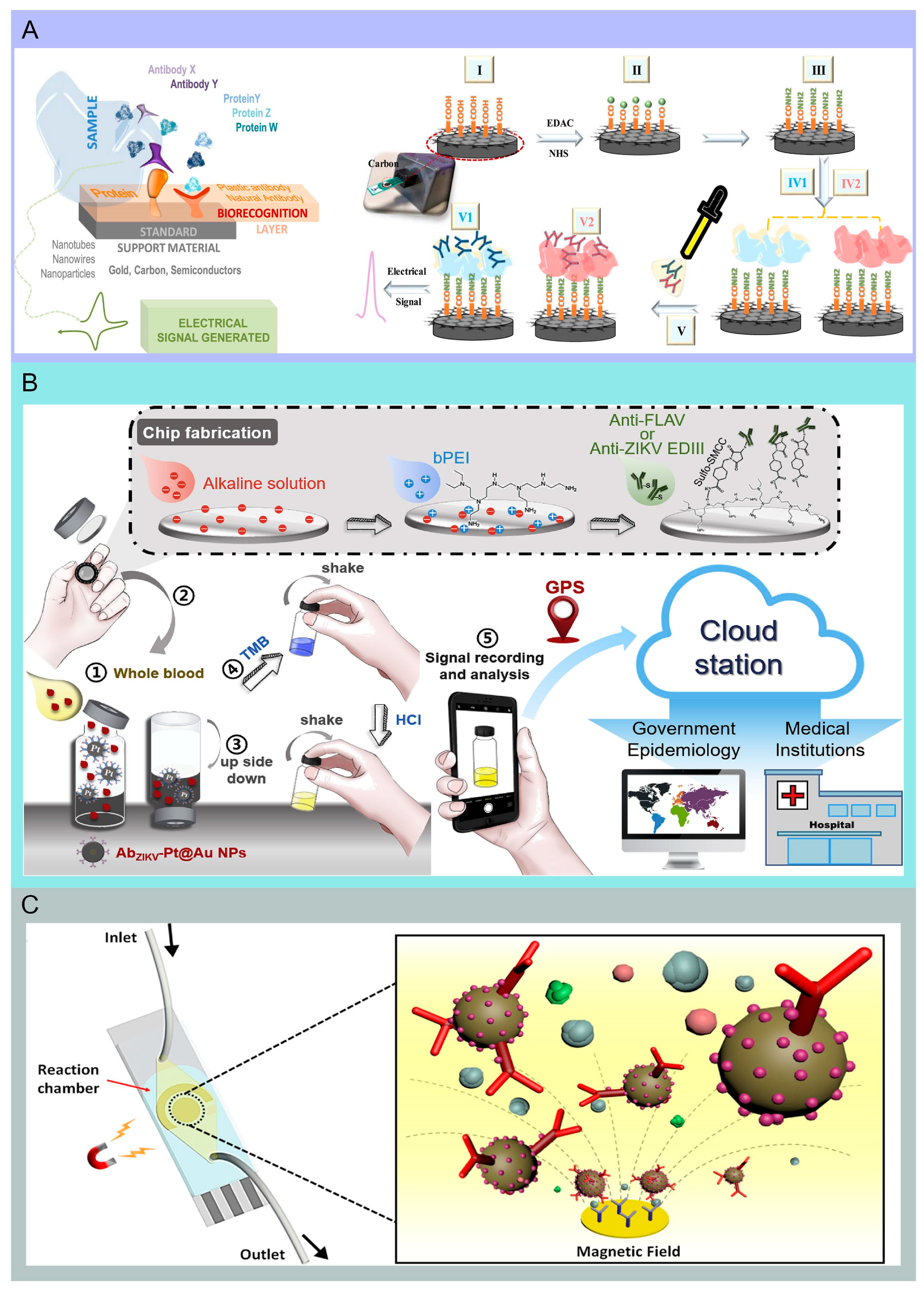 Molecules 29 03322 g004 Molecules 29 03322 g004