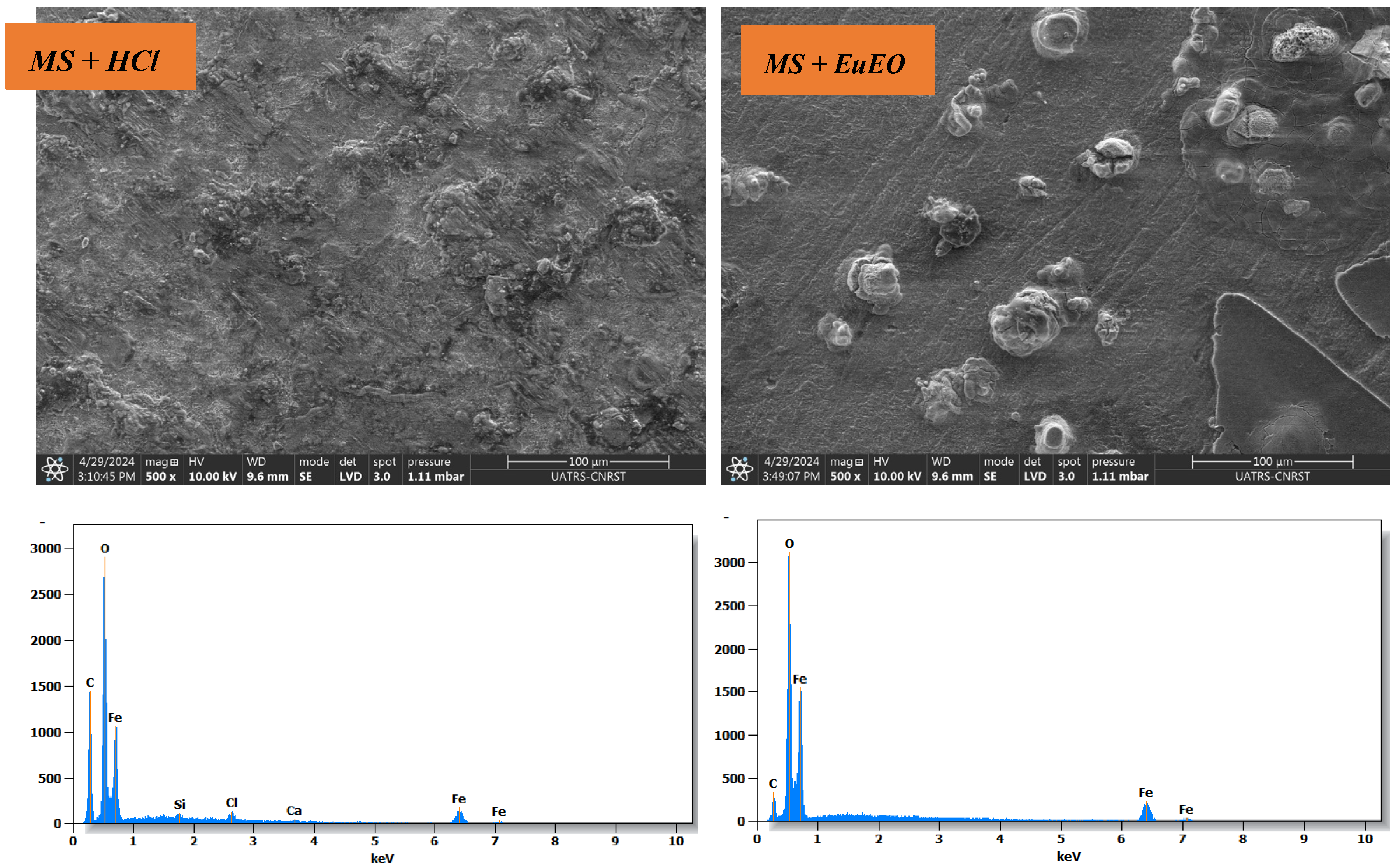 Molecules 29 03323 g010 Molecules 29 03323 g010