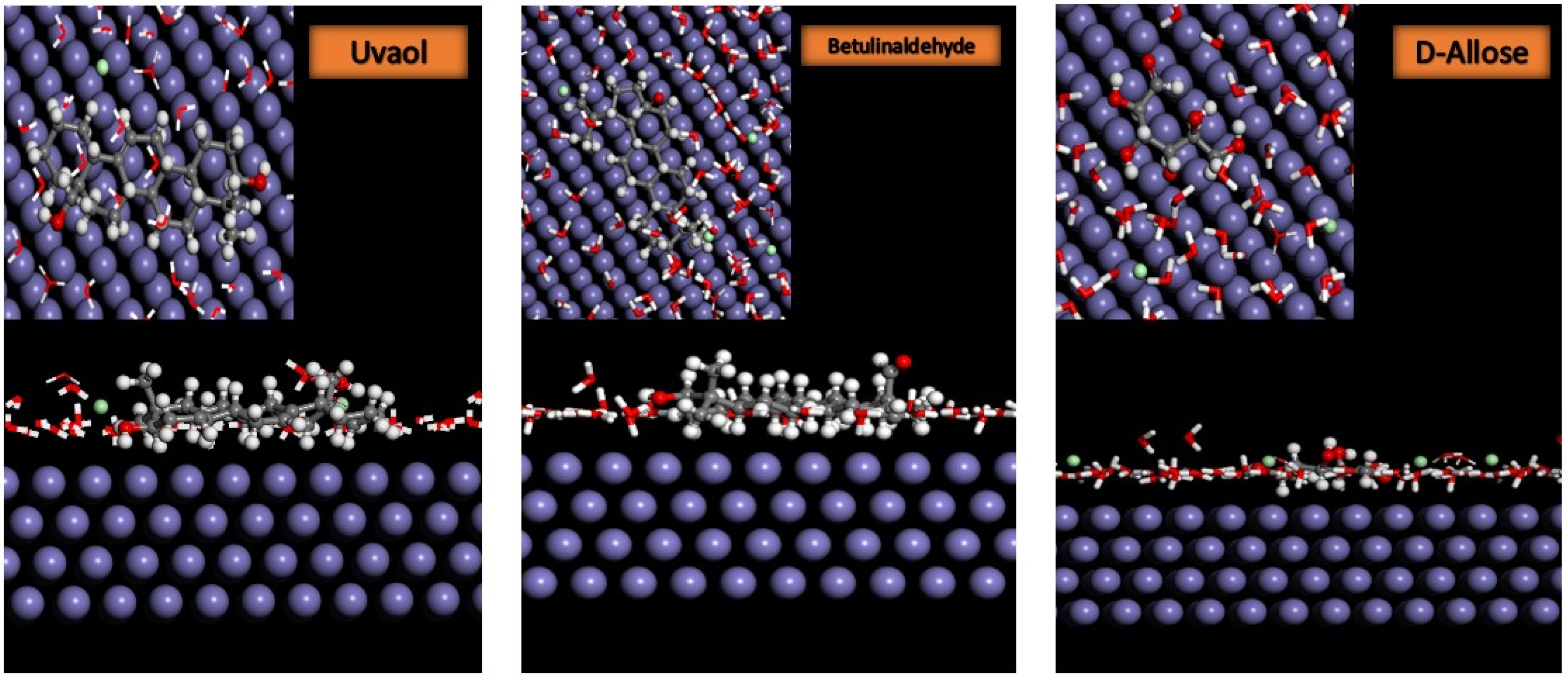 Molecules 29 03323 g013 Molecules 29 03323 g013