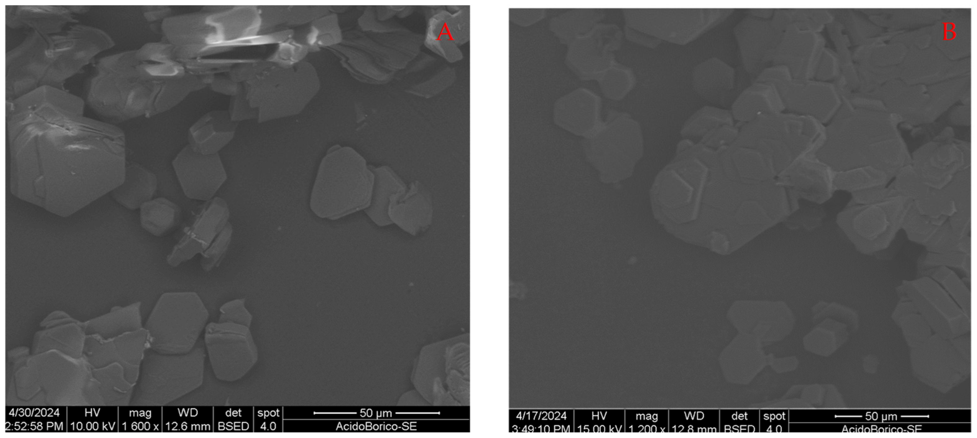 Molecules 29 03324 g004