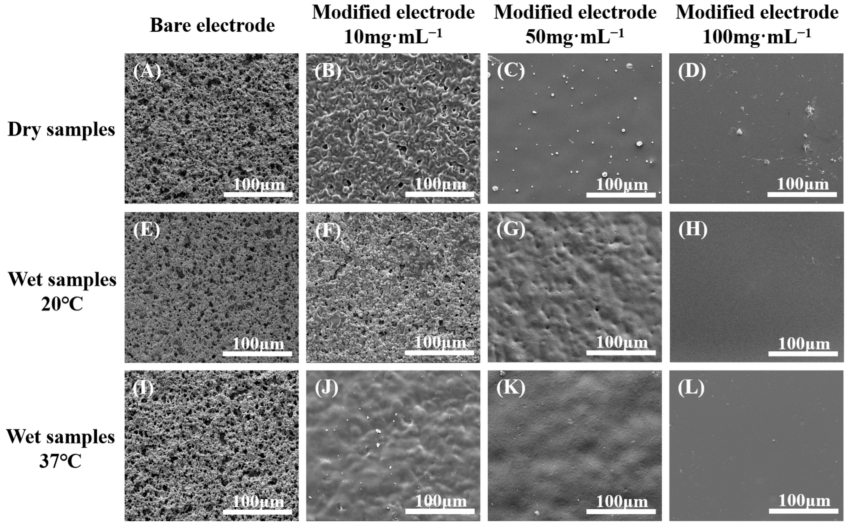 Molecules 29 03327 g004 Molecules 29 03327 g004