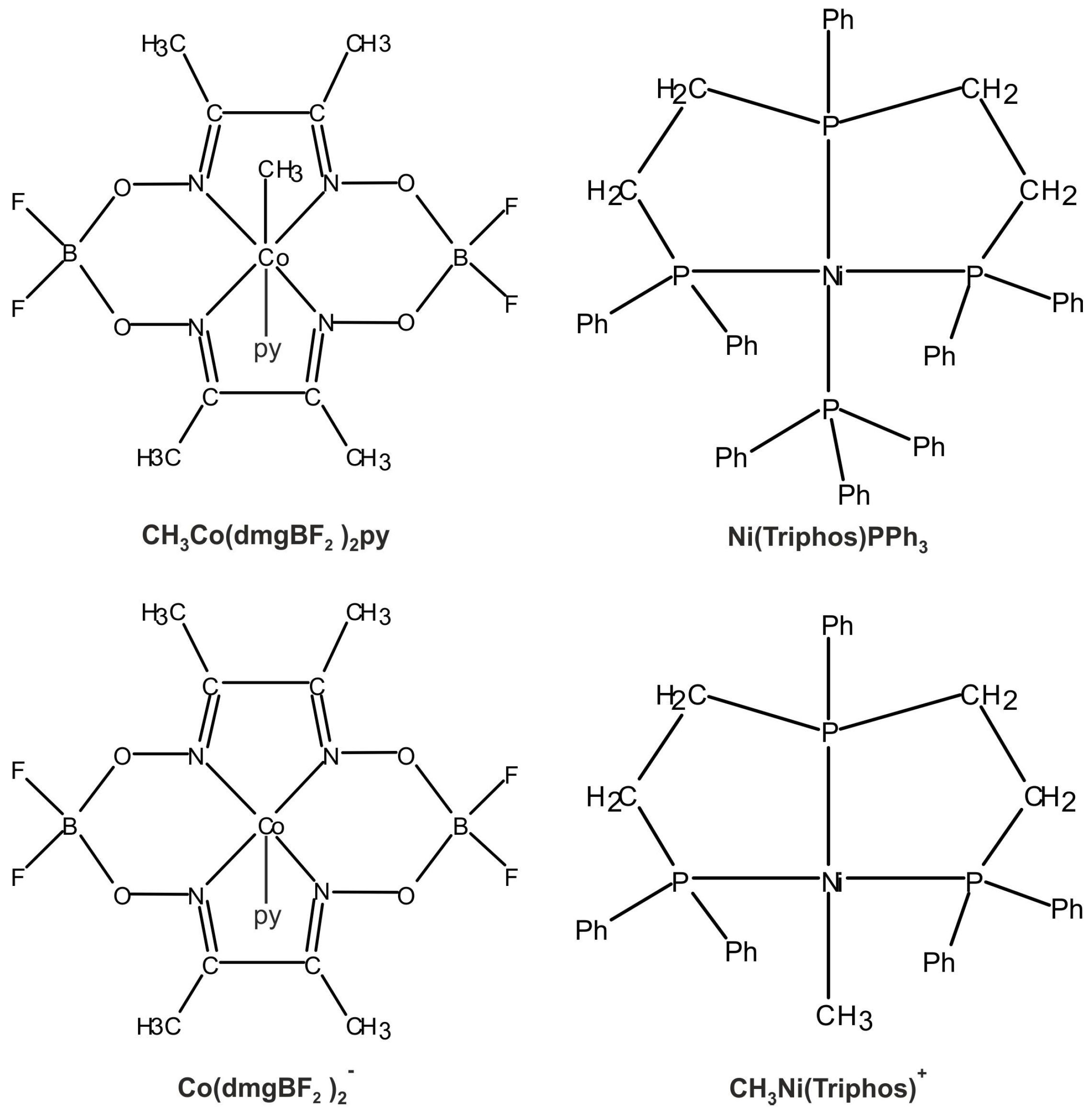 Molecules 29 03335 g001