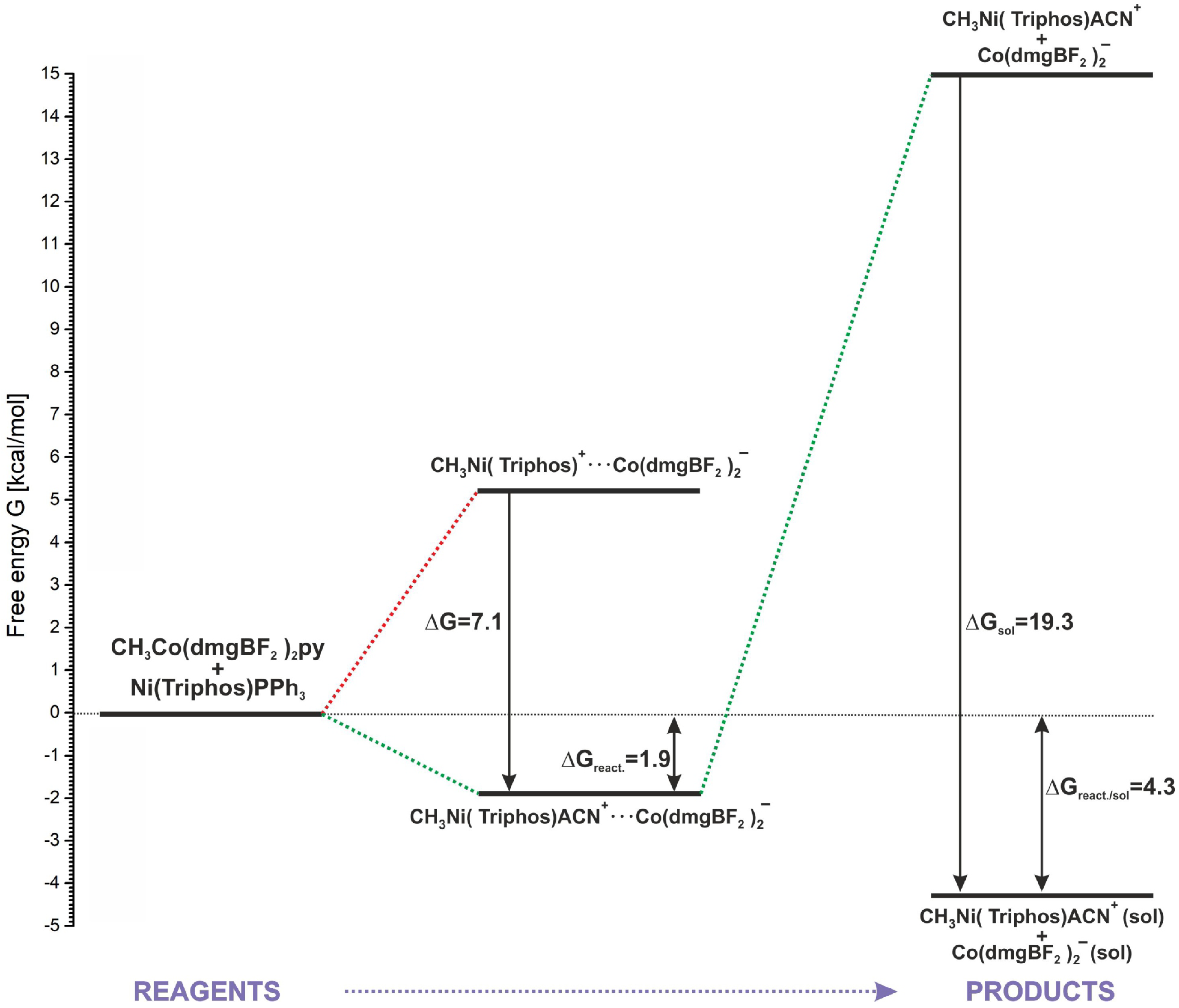 Molecules 29 03335 g009