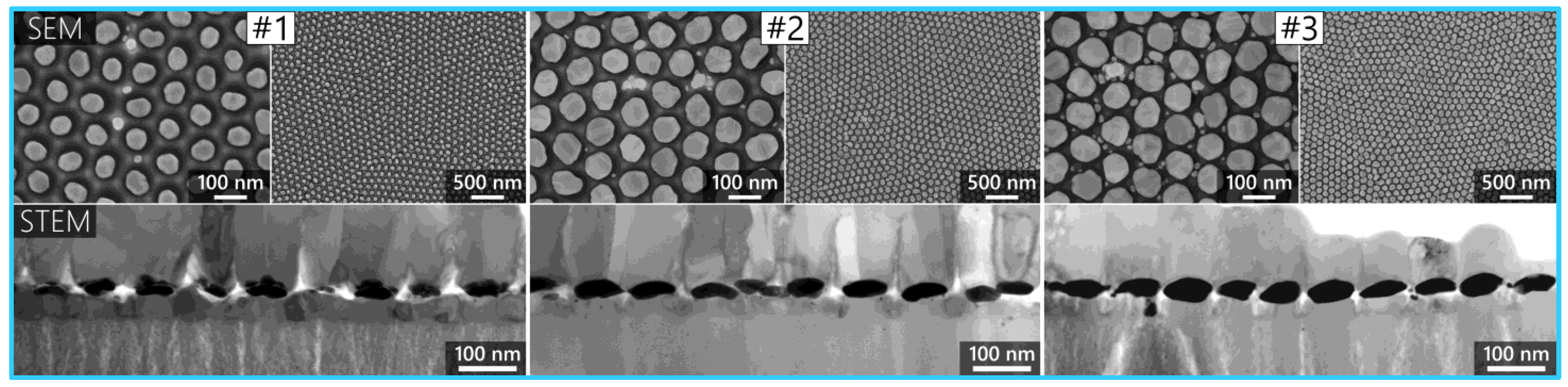 Molecules 29 03338 g003 Molecules 29 03338 g003