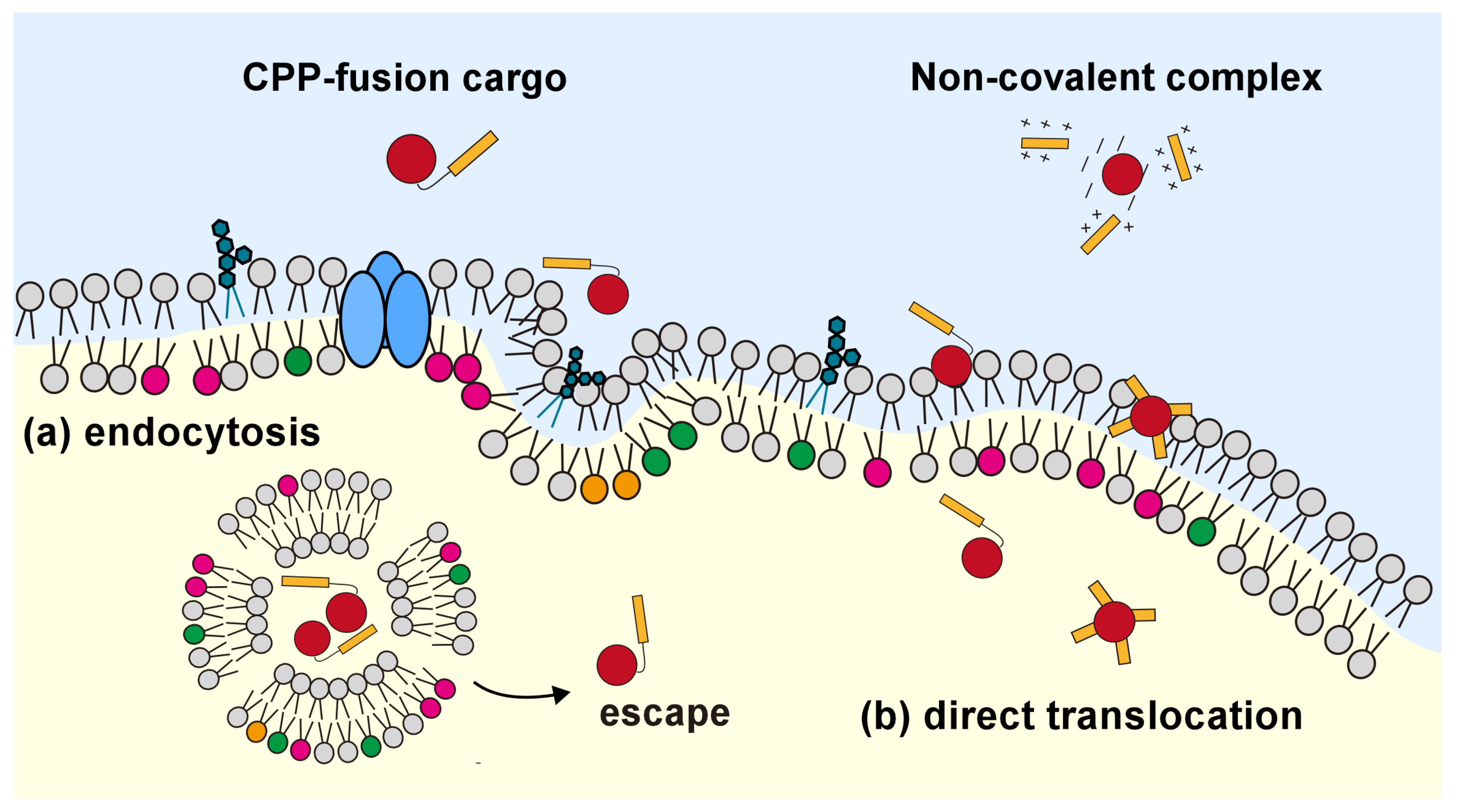 Molecules 29 03339 g001 Molecules 29 03339 g001