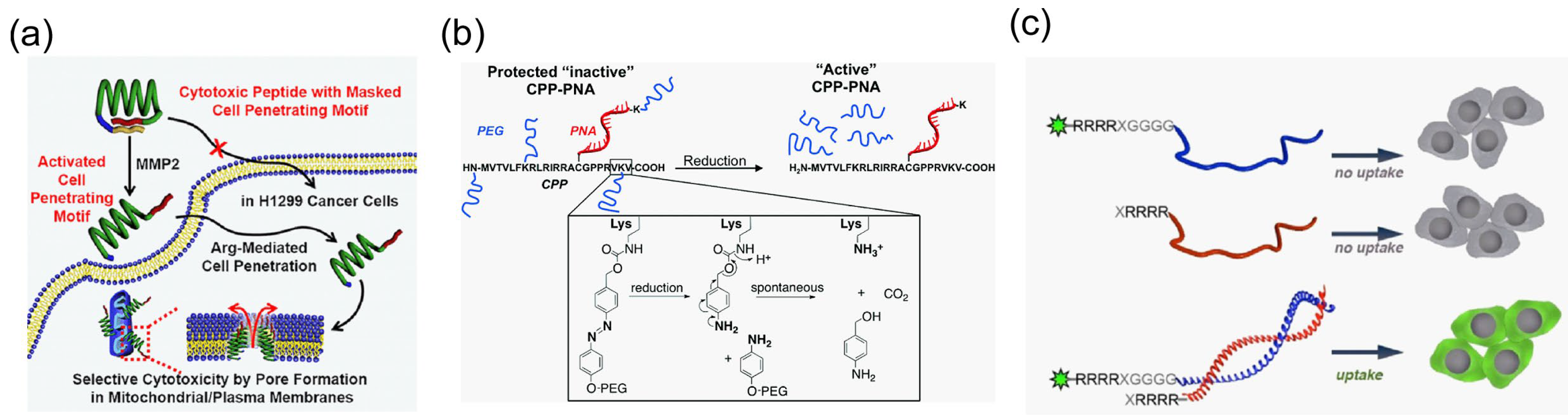 Molecules 29 03339 g005 Molecules 29 03339 g005
