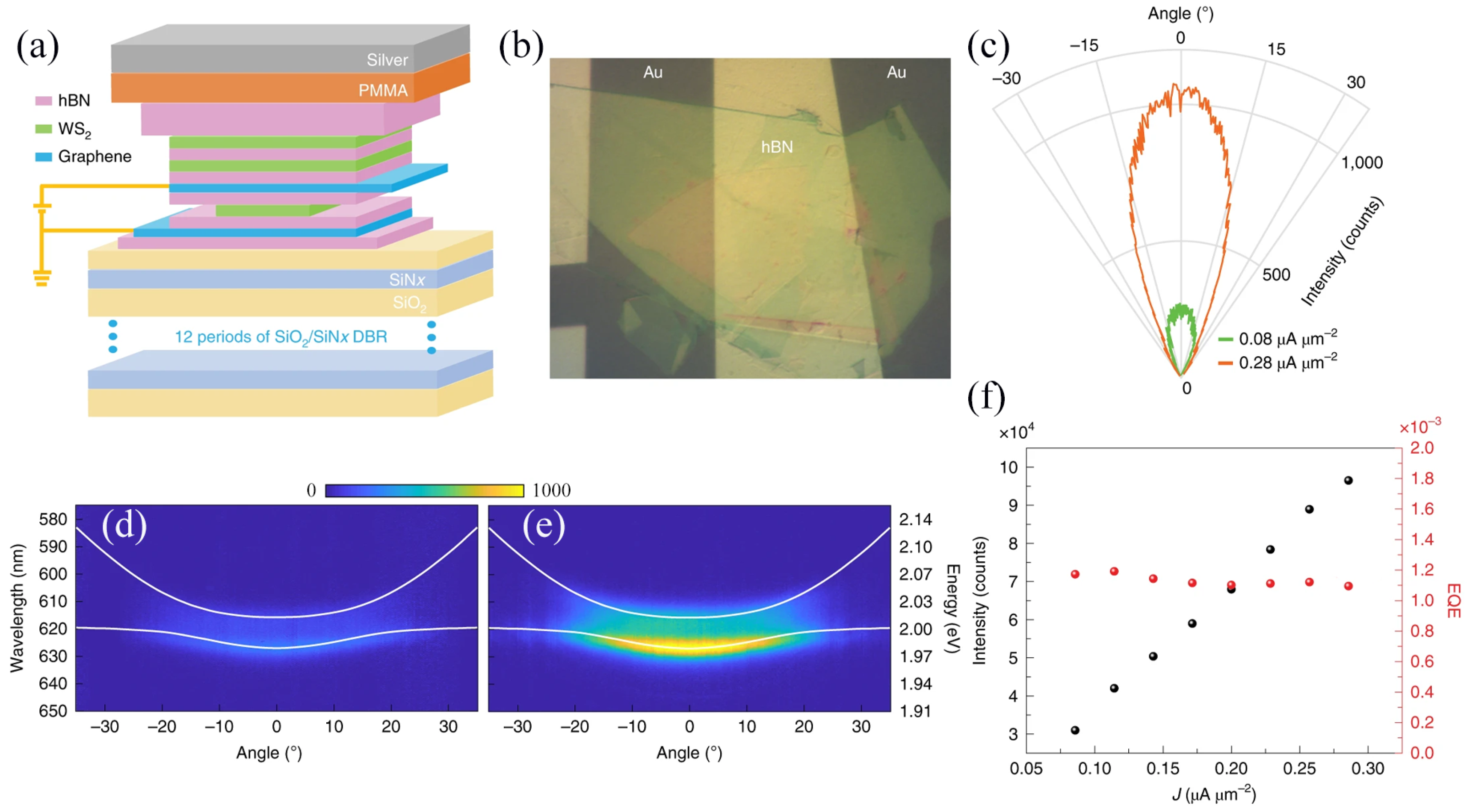 Molecules 29 03341 g001