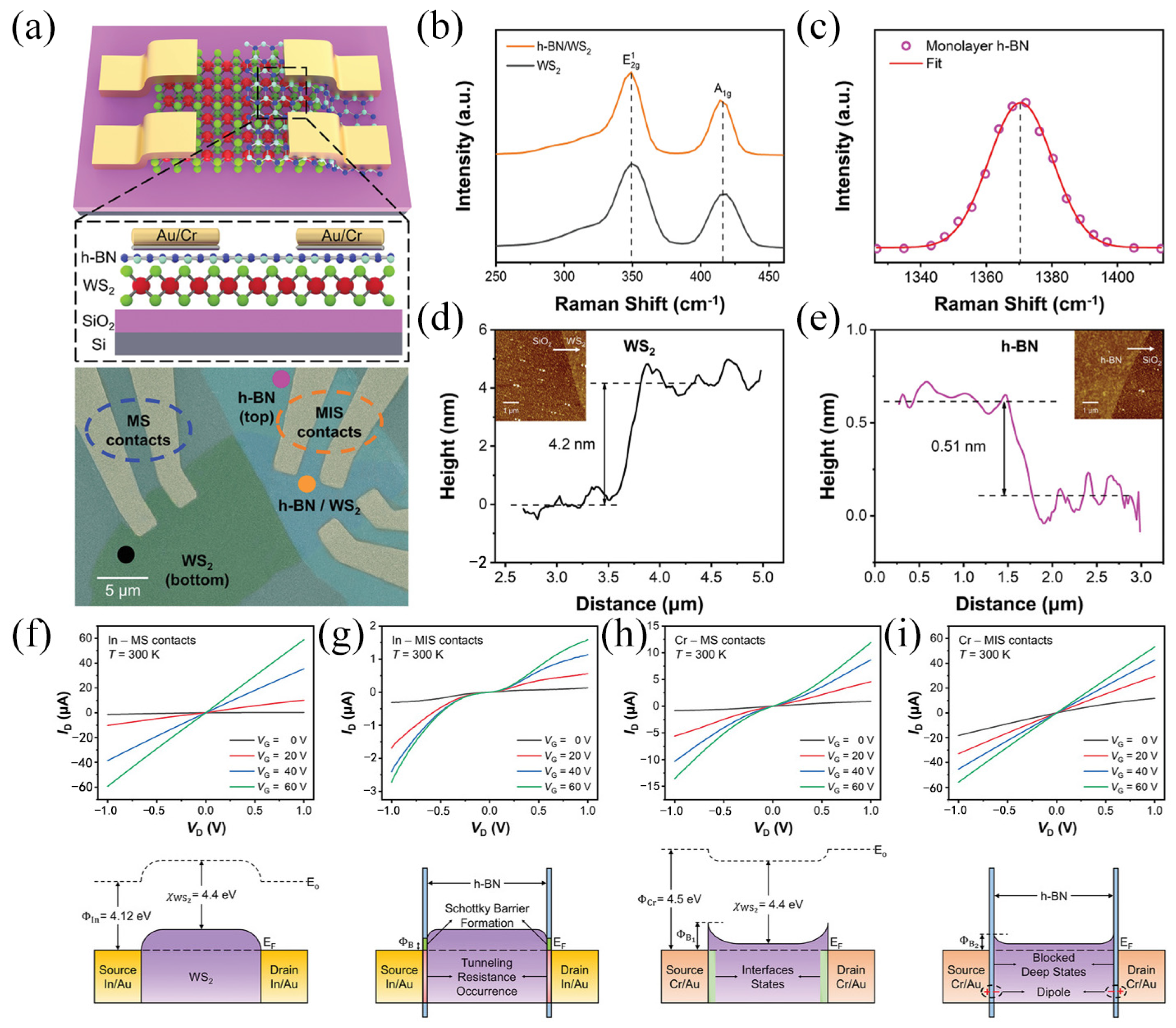 Molecules 29 03341 g010