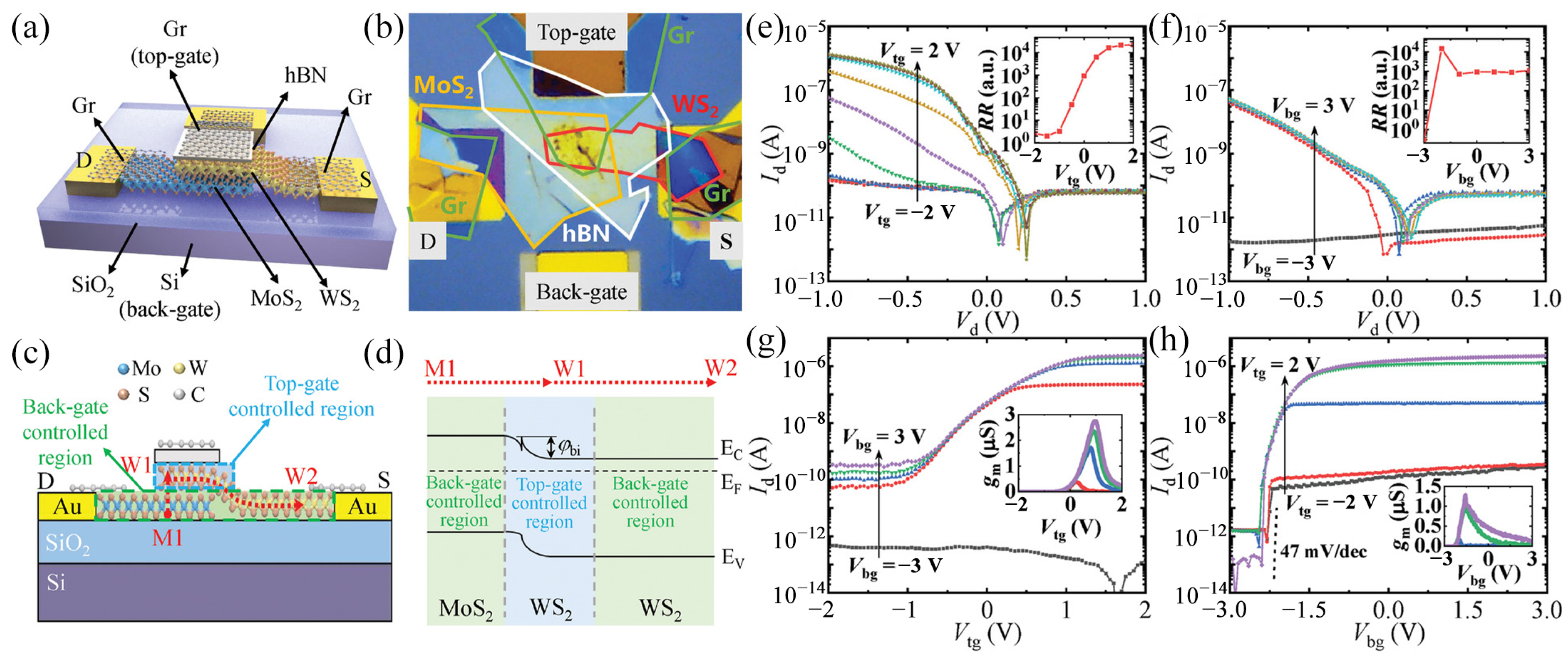Molecules 29 03341 g011